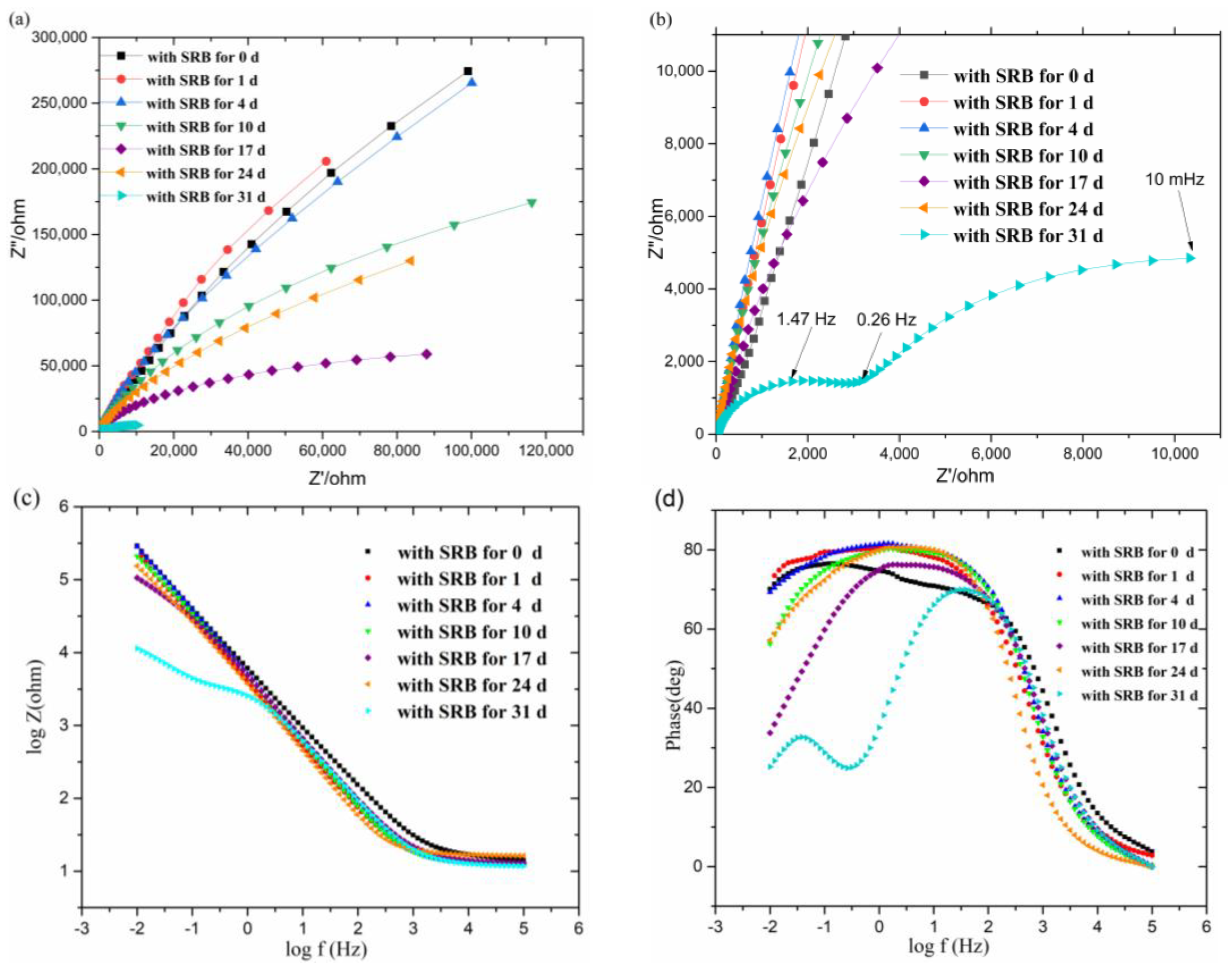 Coatings 10 00024 g003 Coatings 10 00024 g003