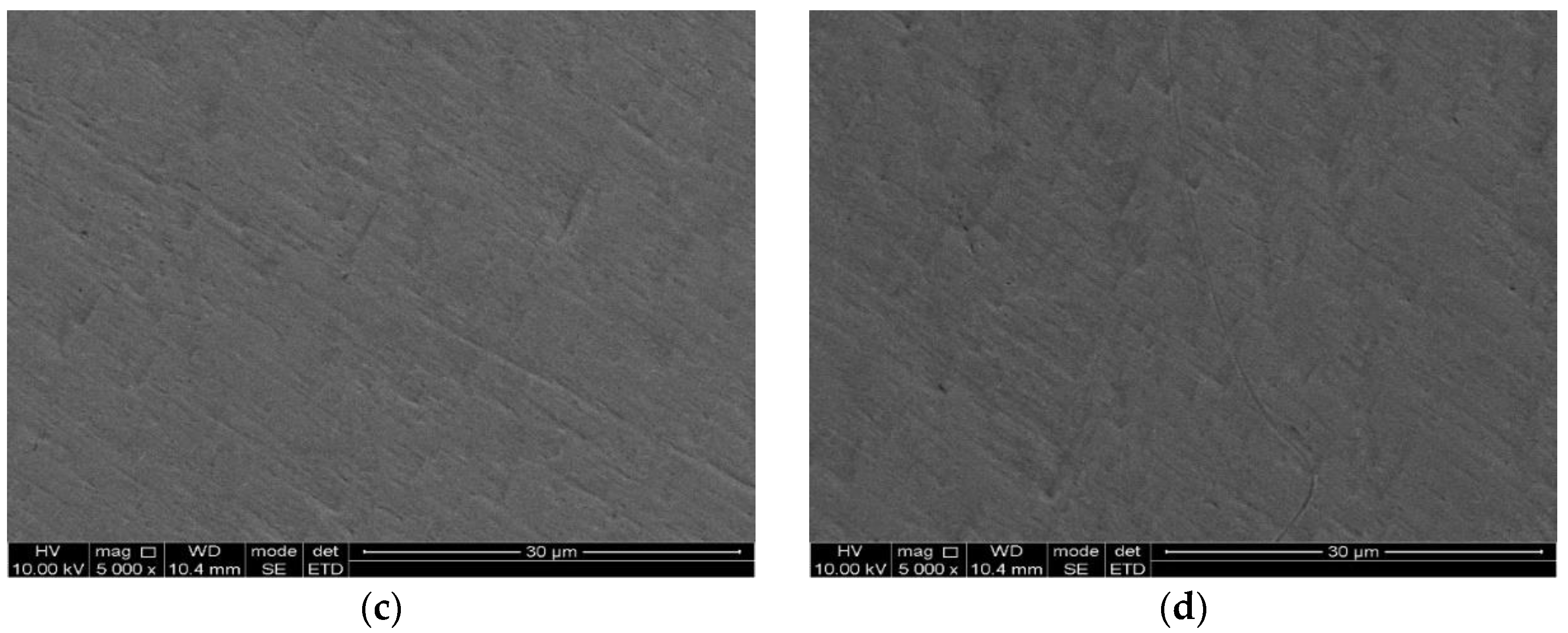 Coatings 10 00024 g007b Coatings 10 00024 g007b