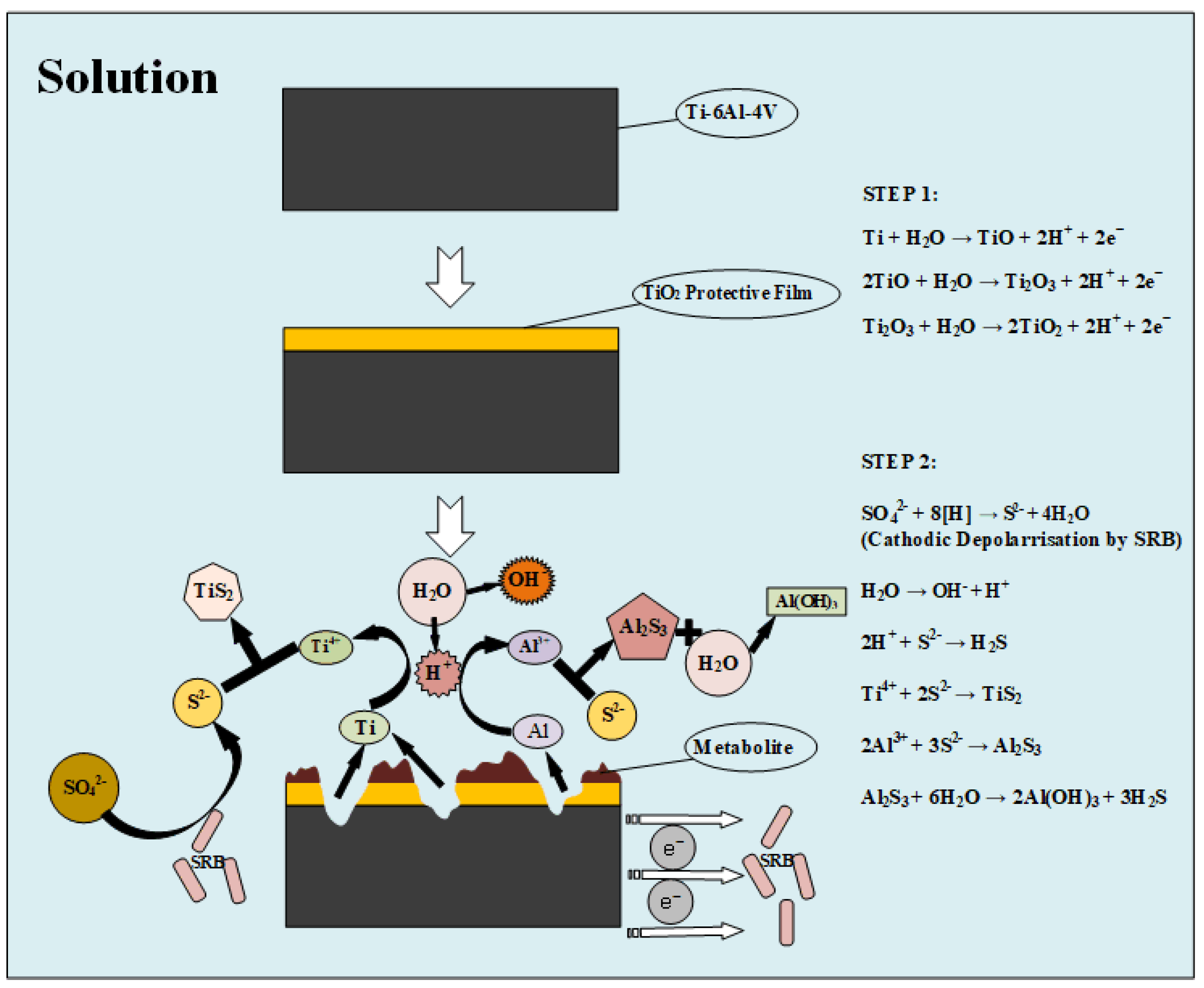 Coatings 10 00024 g009 Coatings 10 00024 g009