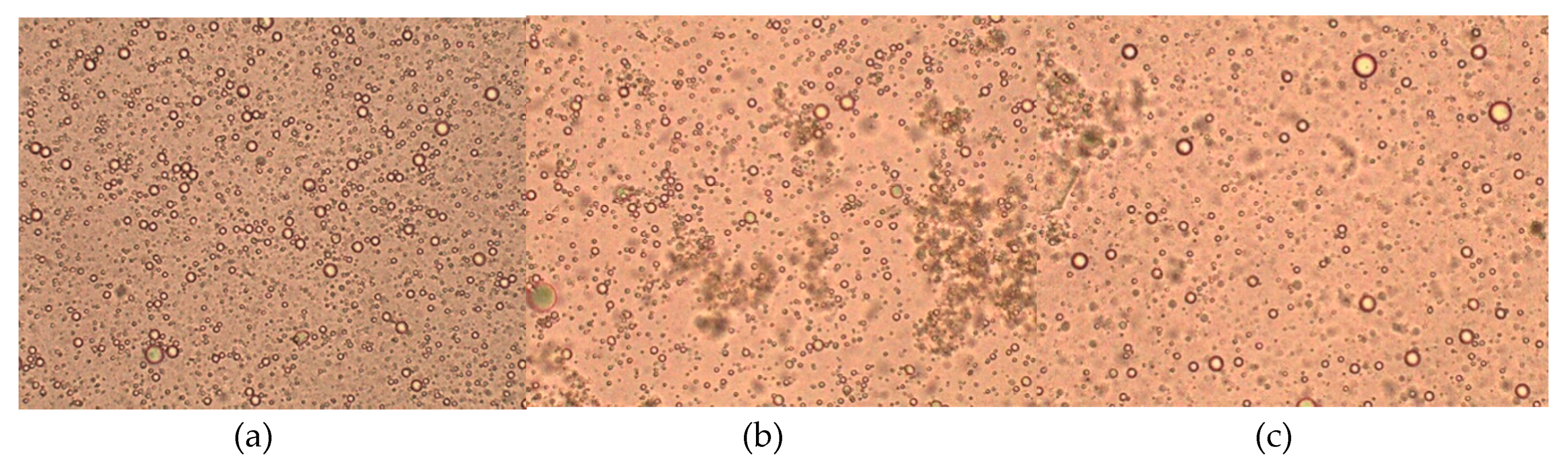 Coatings 10 00026 g002 Coatings 10 00026 g002