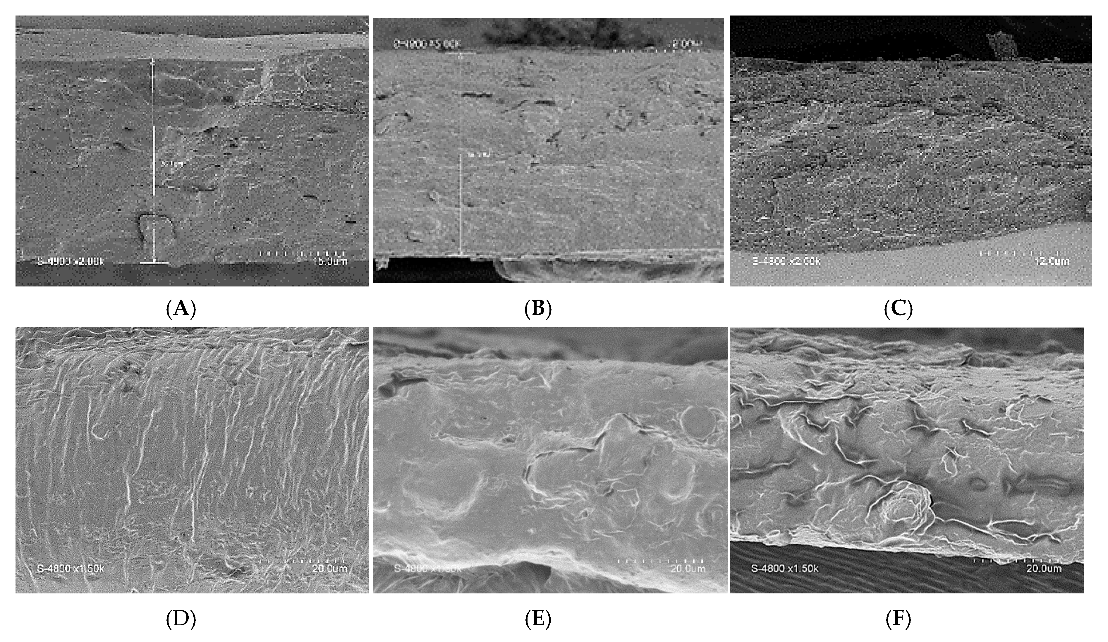 Coatings 10 00026 g004 Coatings 10 00026 g004