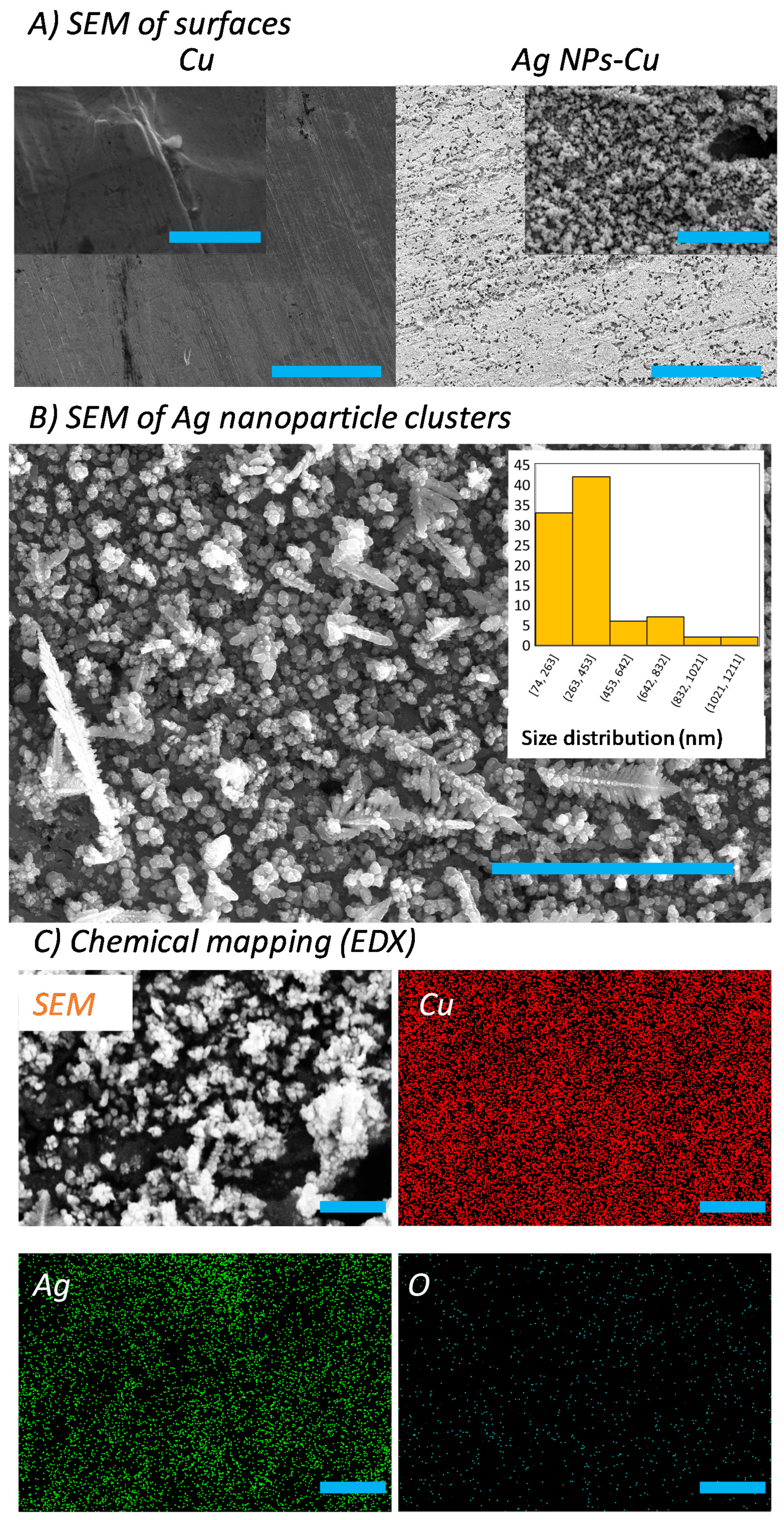 Coatings 10 00028 g001 Coatings 10 00028 g001