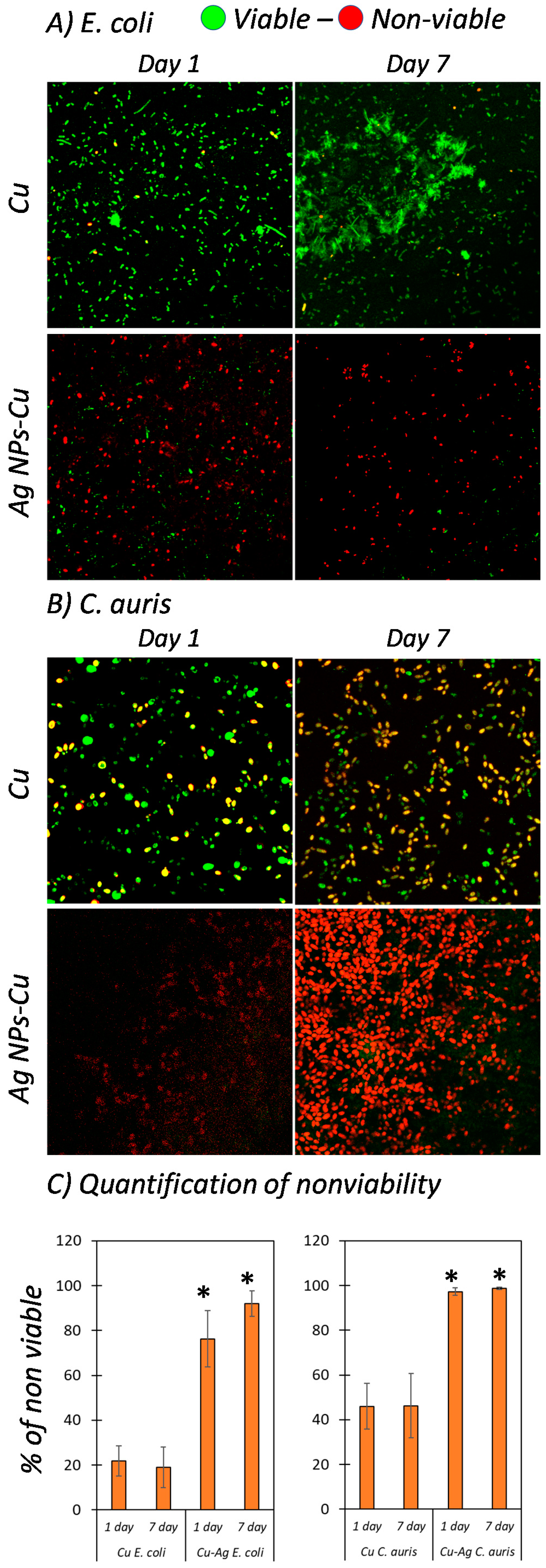Coatings 10 00028 g002 Coatings 10 00028 g002