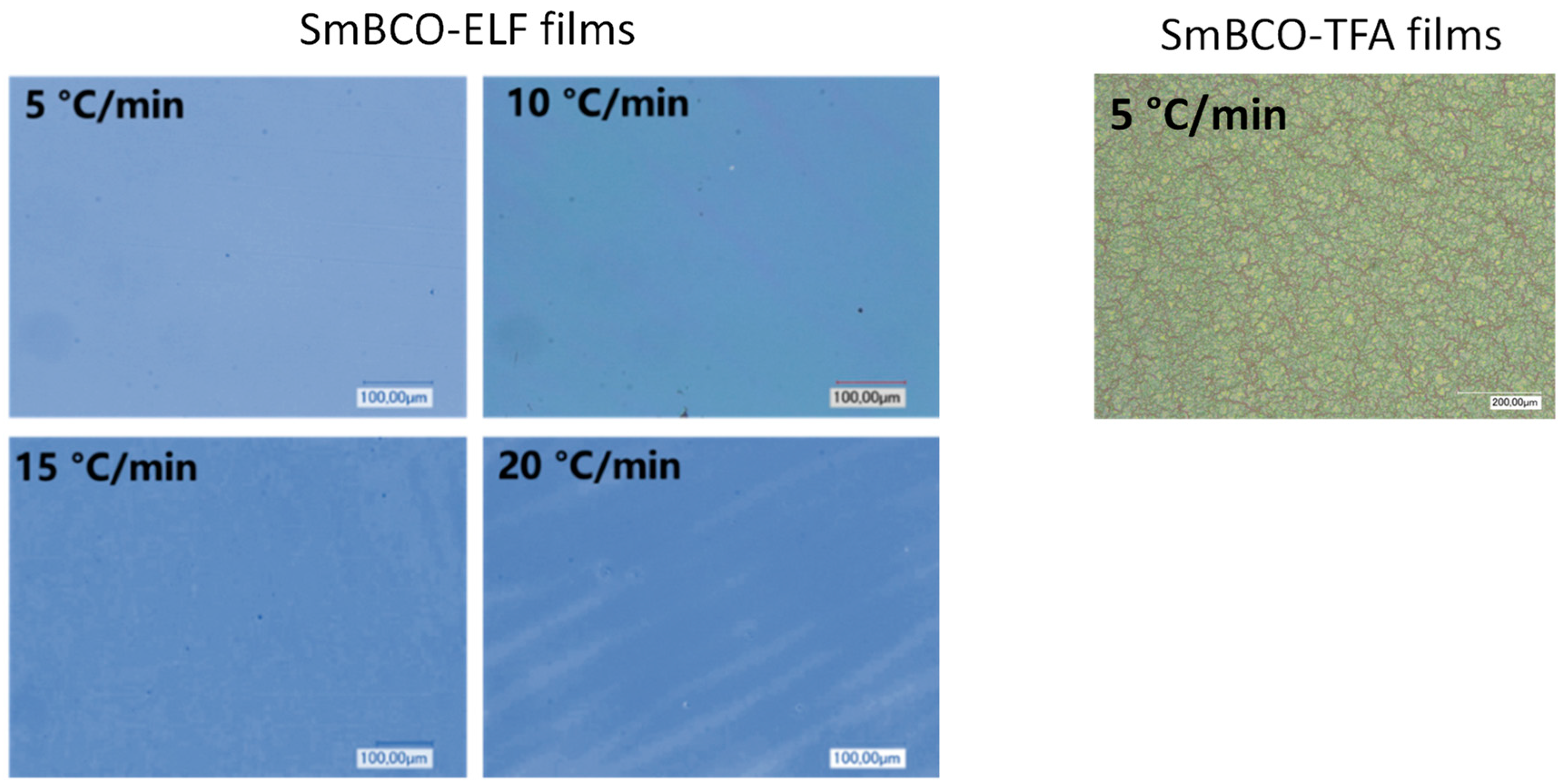 Coatings 10 00031 g001 Coatings 10 00031 g001