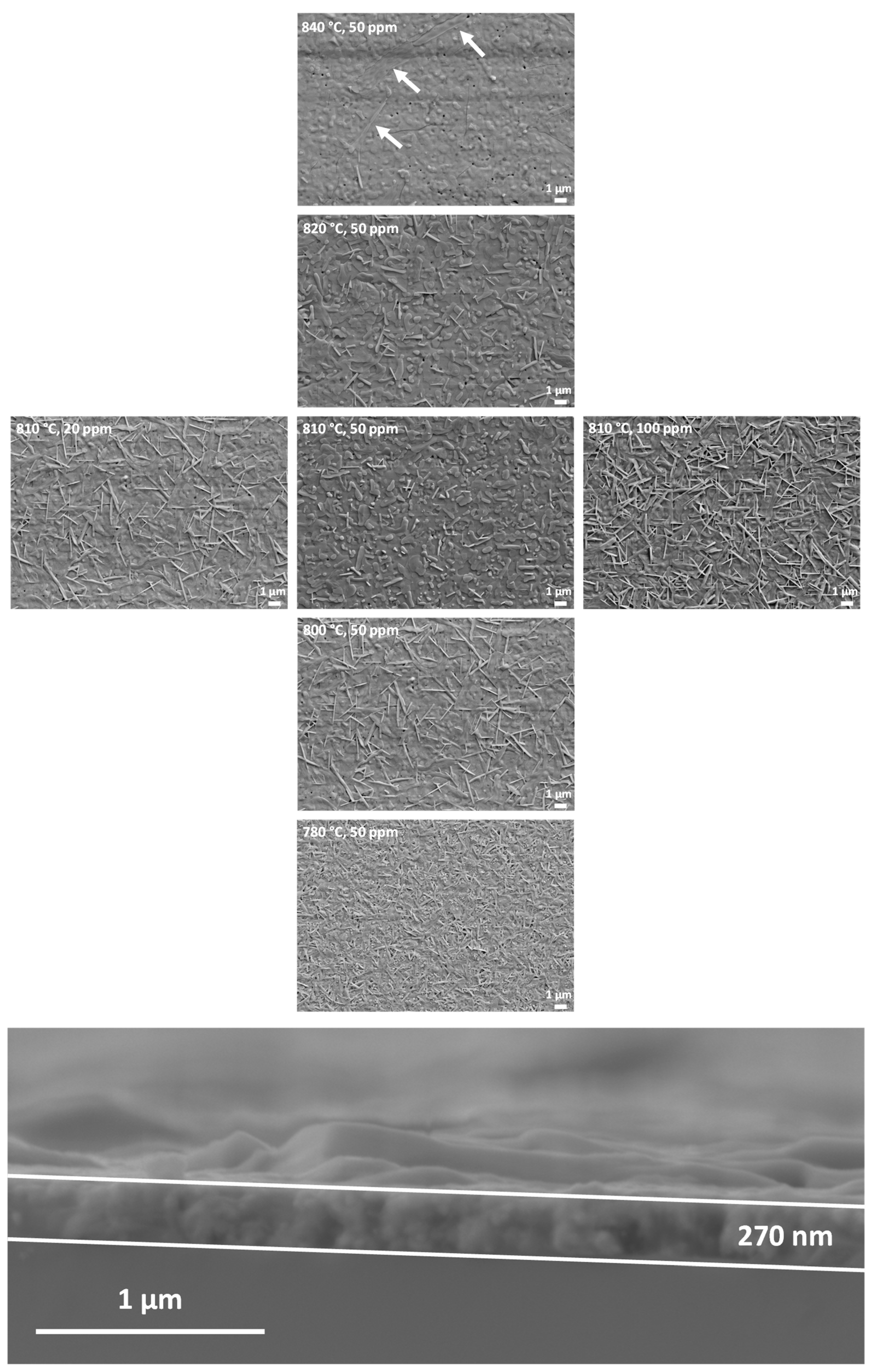 Coatings 10 00031 g003 Coatings 10 00031 g003
