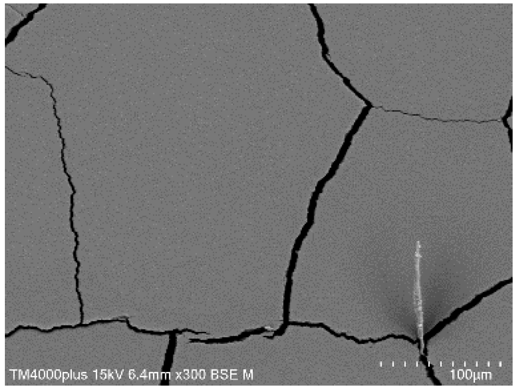 Coatings 10 00032 g005 Coatings 10 00032 g005