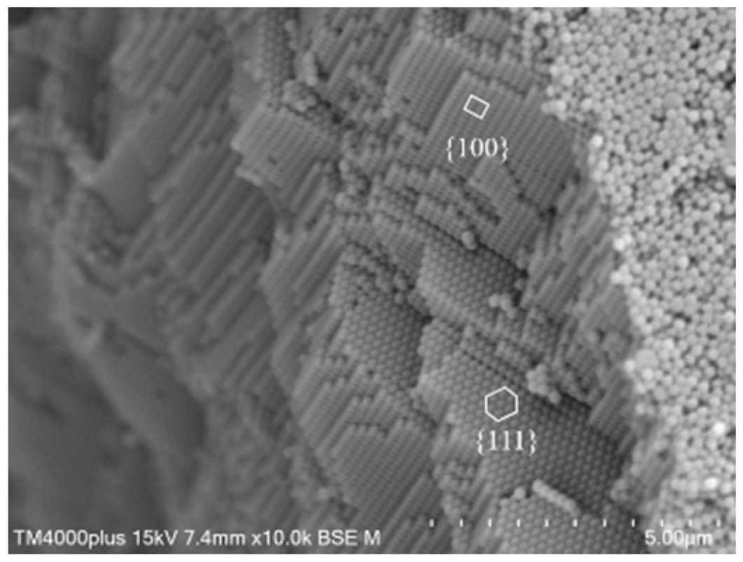 Coatings 10 00032 g006 Coatings 10 00032 g006