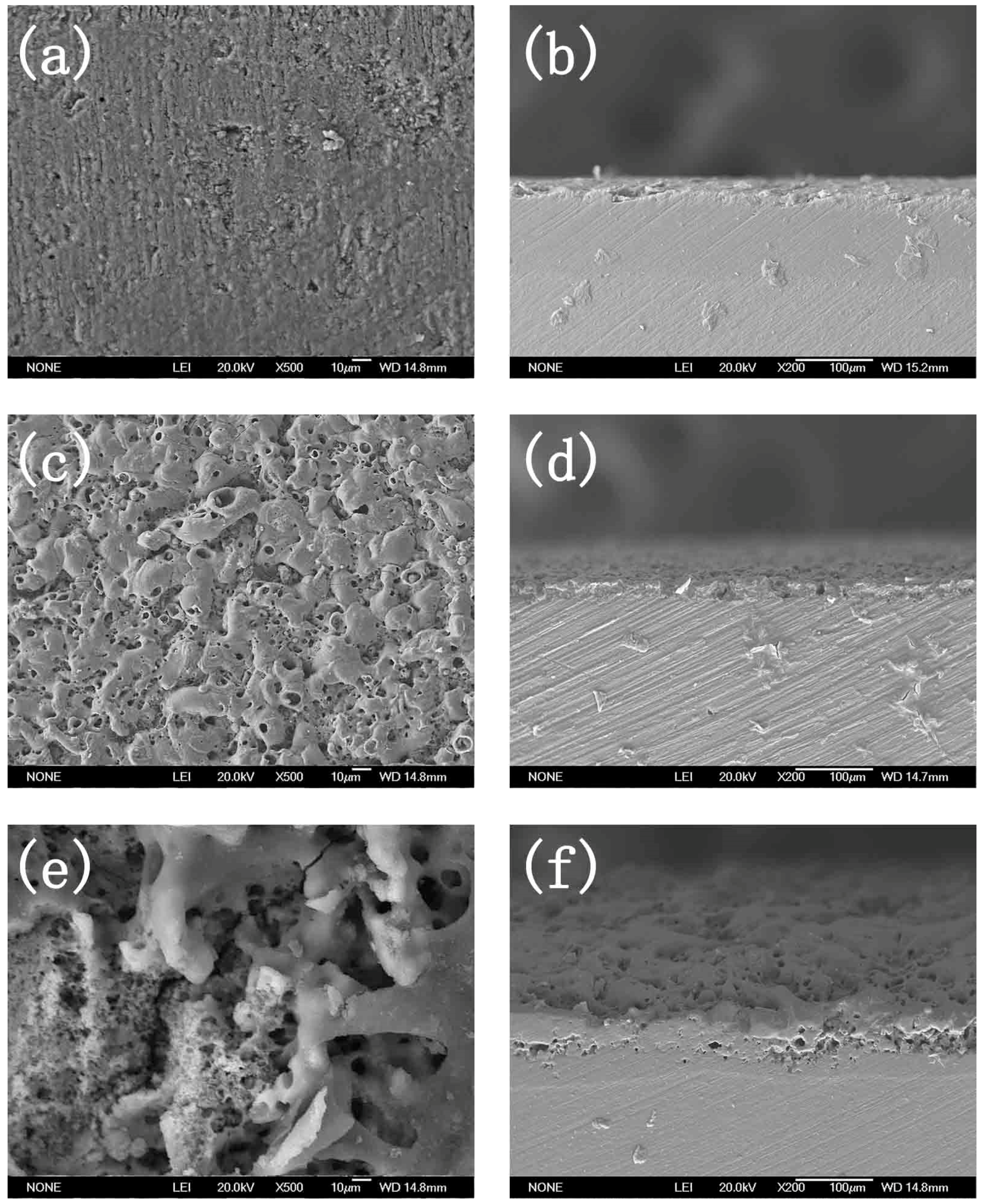 Coatings 10 00038 g005 Coatings 10 00038 g005