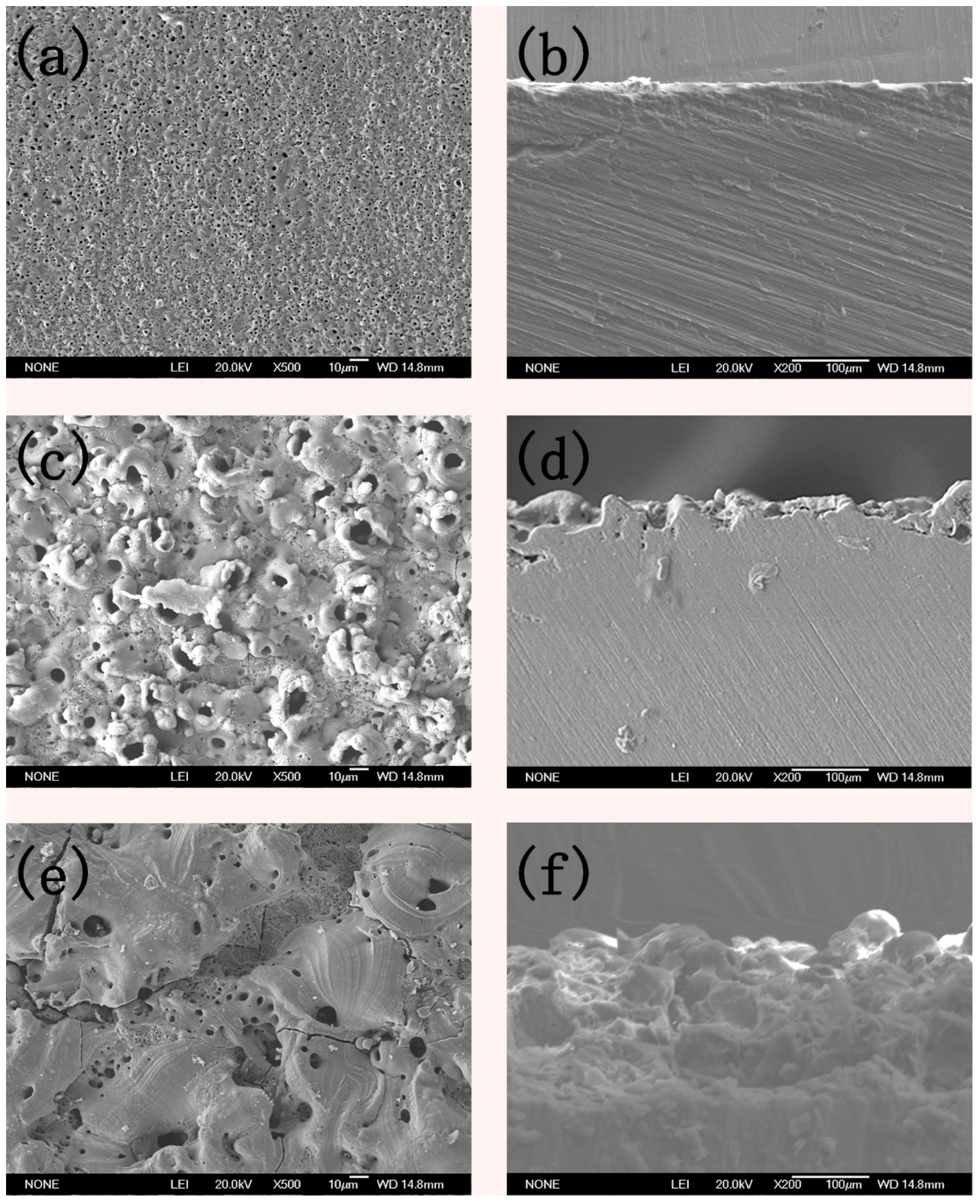 Coatings 10 00038 g006 Coatings 10 00038 g006