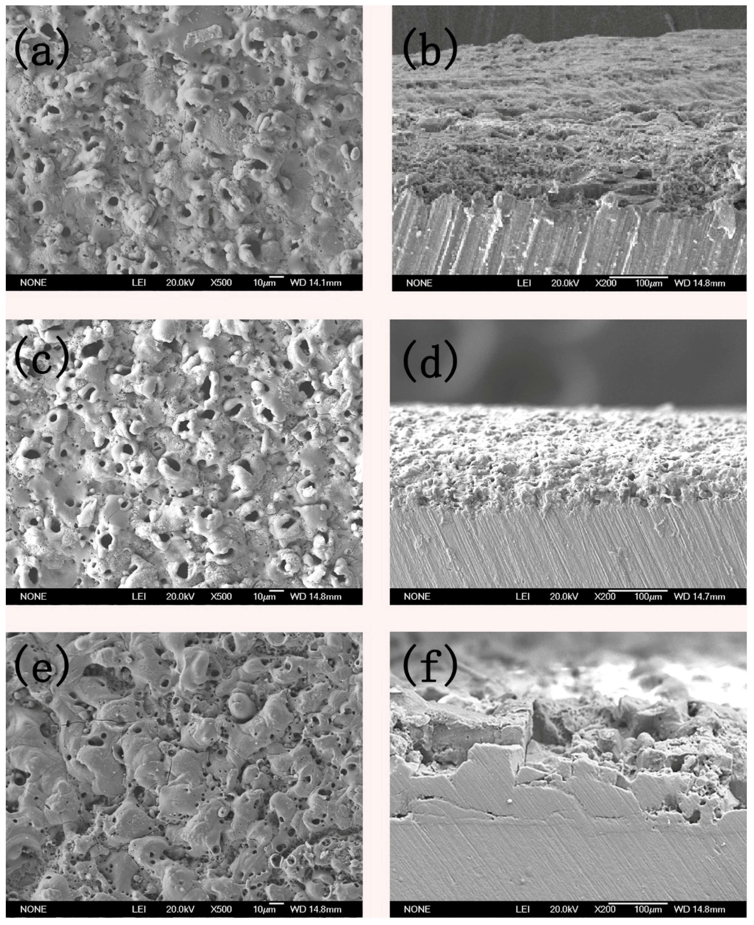 Coatings 10 00038 g008 Coatings 10 00038 g008