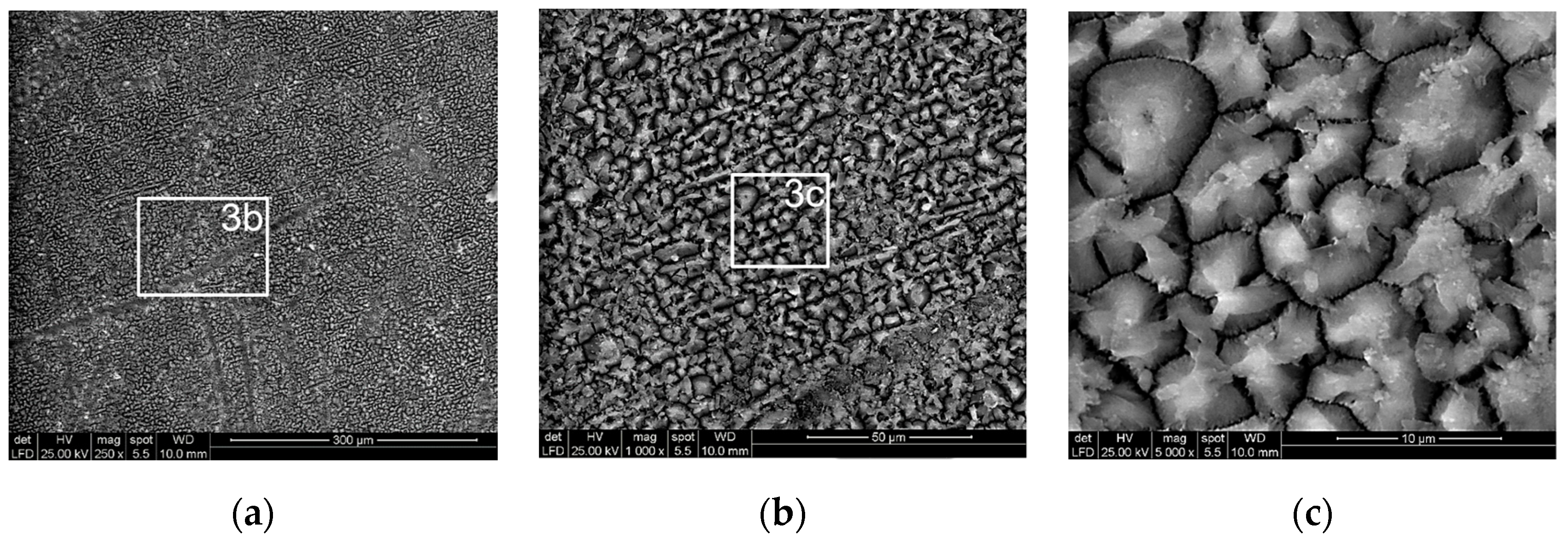 Coatings 10 00045 g003 Coatings 10 00045 g003