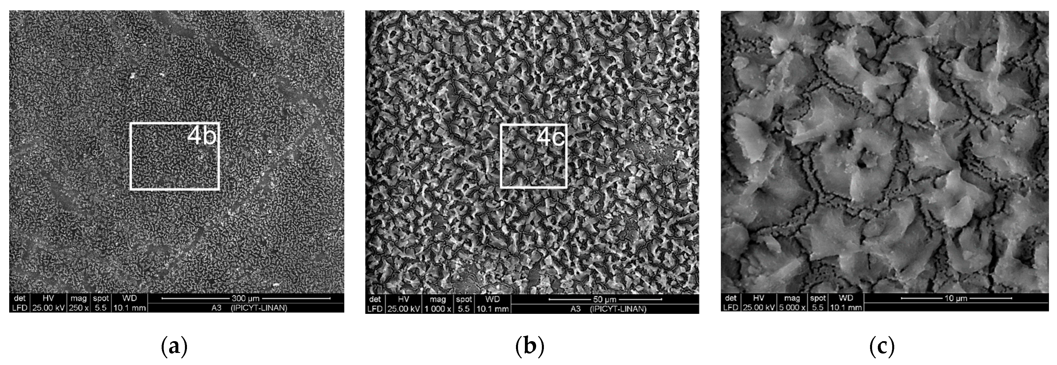 Coatings 10 00045 g004 Coatings 10 00045 g004