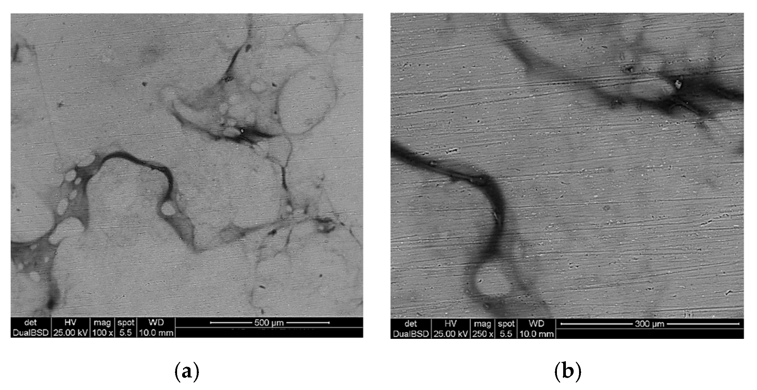 Coatings 10 00045 g007 Coatings 10 00045 g007