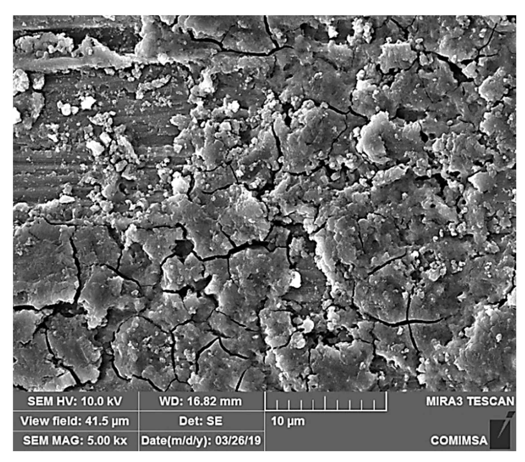 Coatings 10 00045 g010 Coatings 10 00045 g010