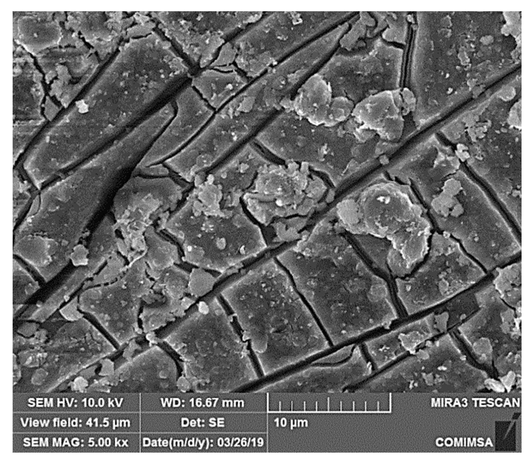 Coatings 10 00045 g011 Coatings 10 00045 g011