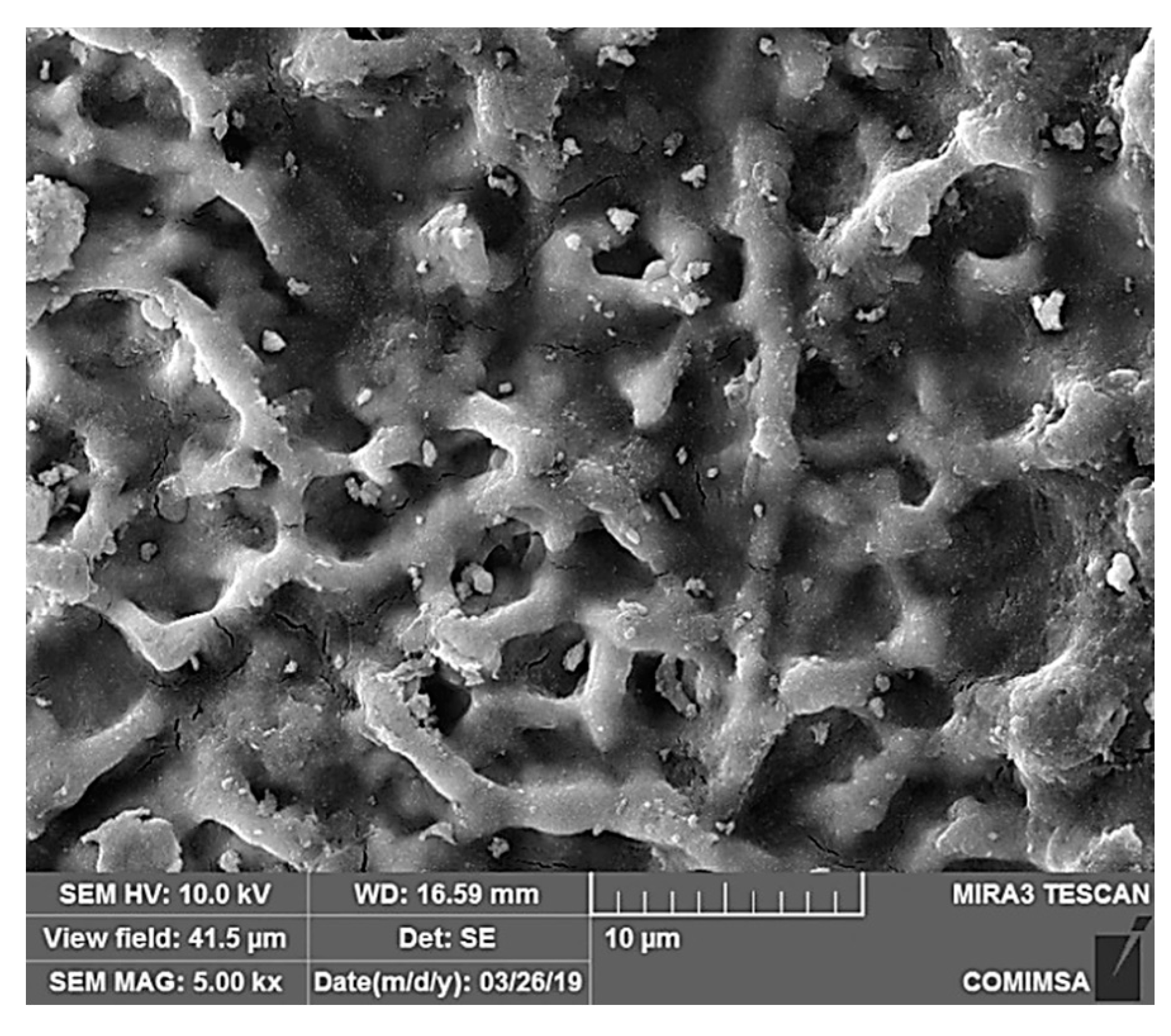 Coatings 10 00045 g012 Coatings 10 00045 g012