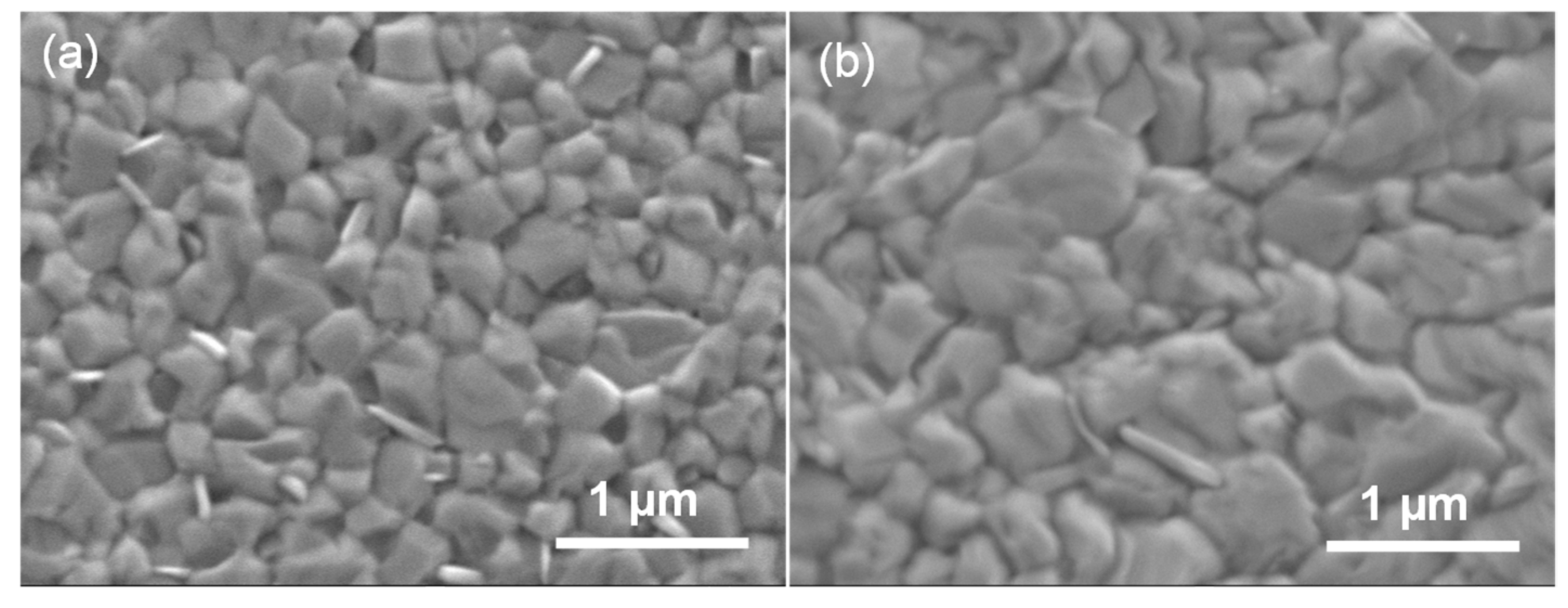 Coatings 10 00046 g003