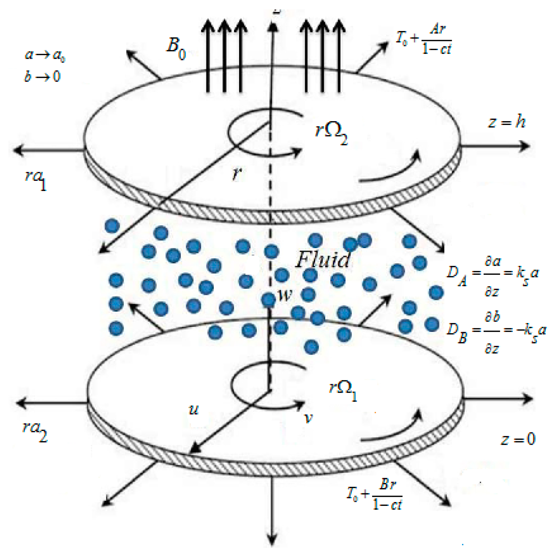 Coatings 10 00048 g001