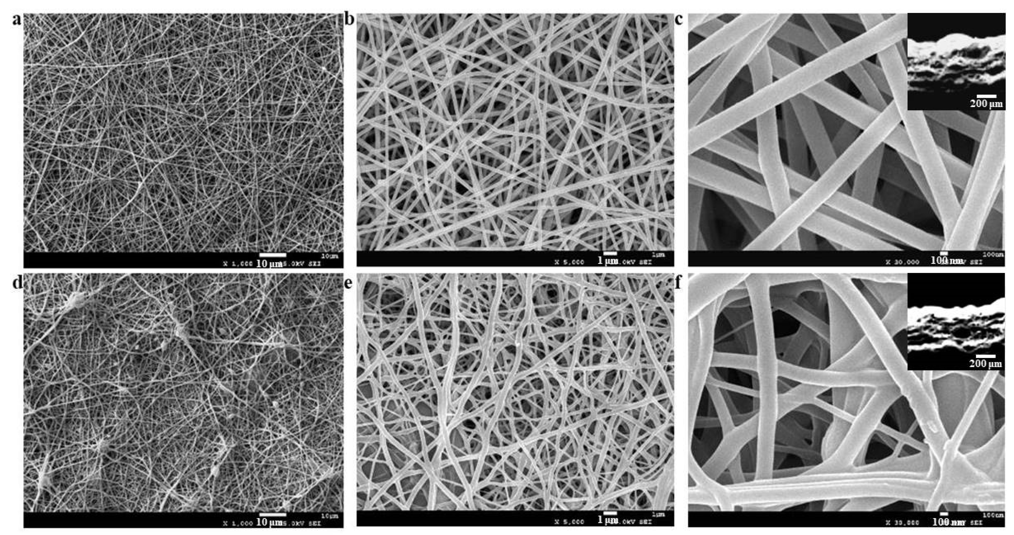 Coatings 10 00049 g001