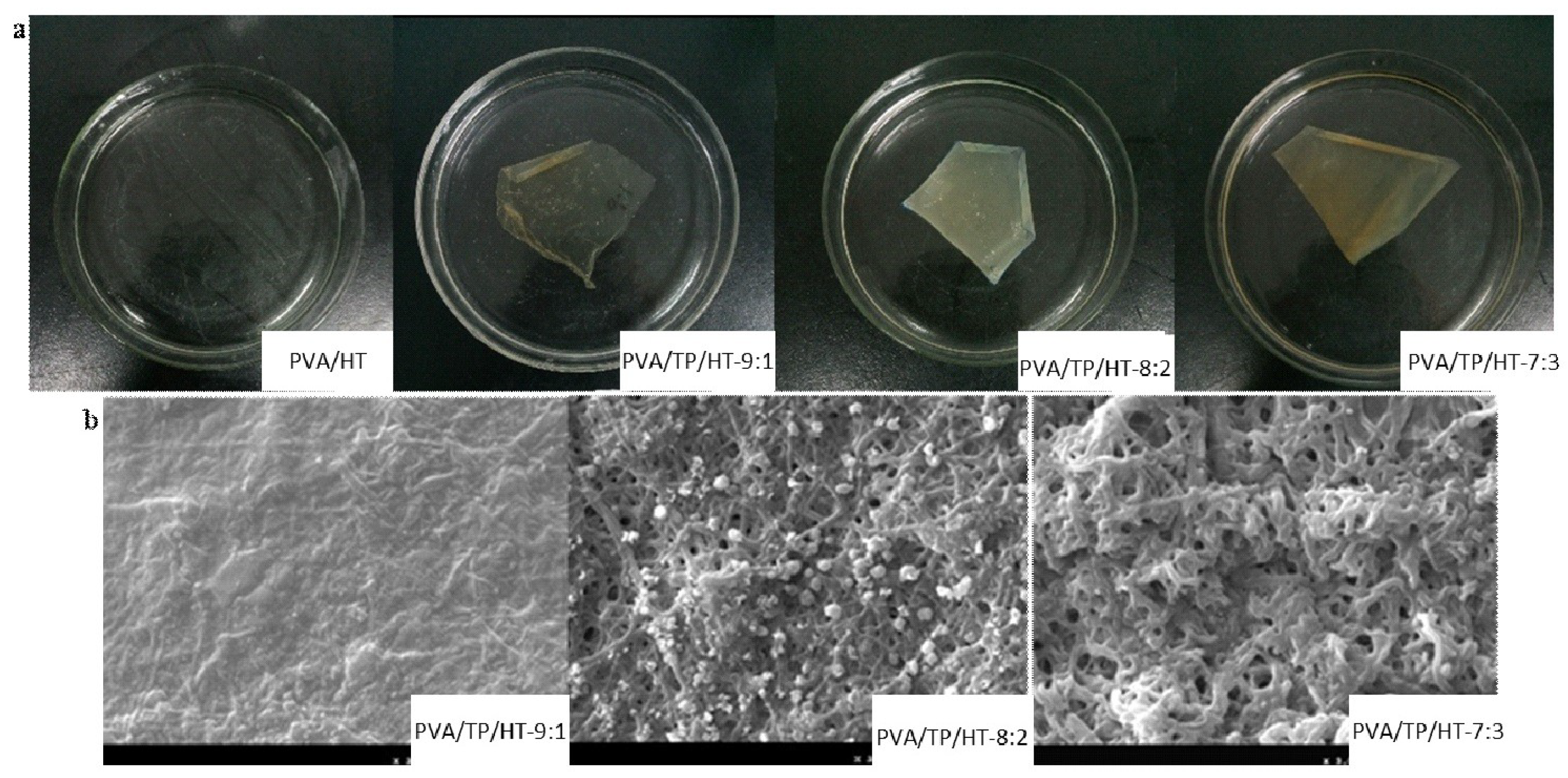 Coatings 10 00049 g004