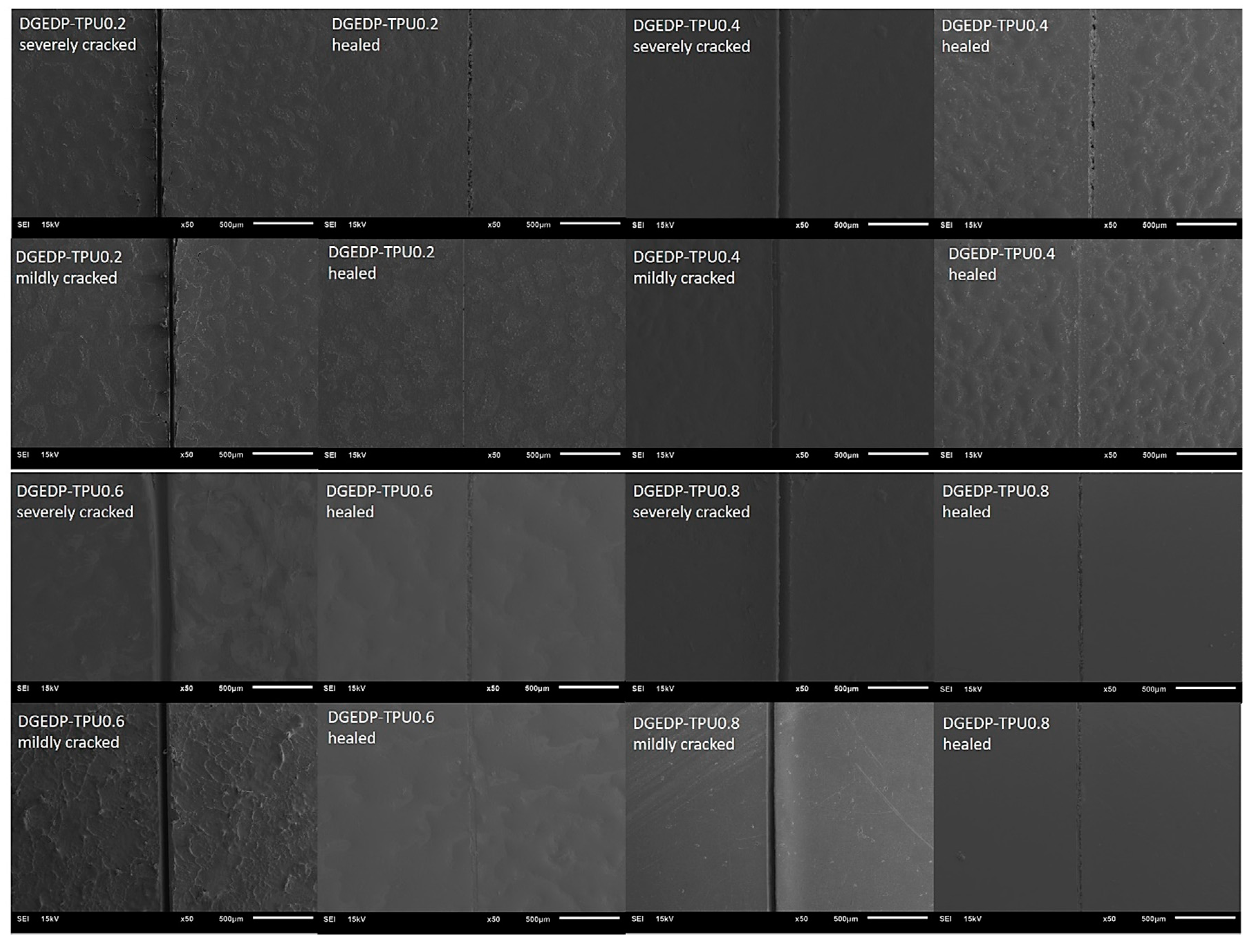 Coatings 10 00050 g001