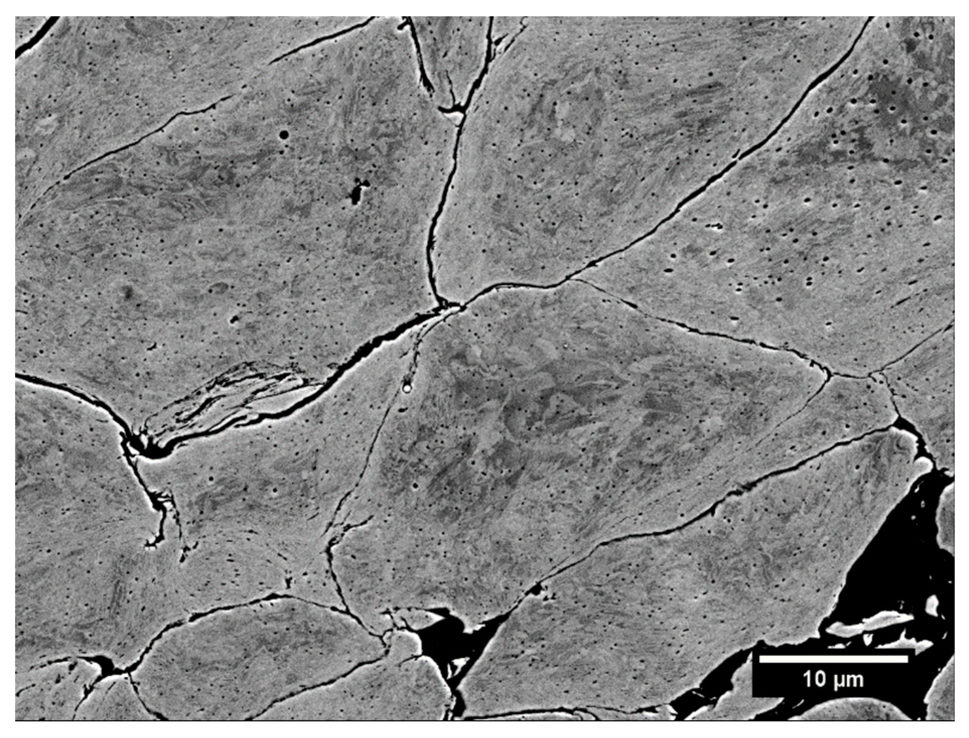 Coatings 10 00053 g005