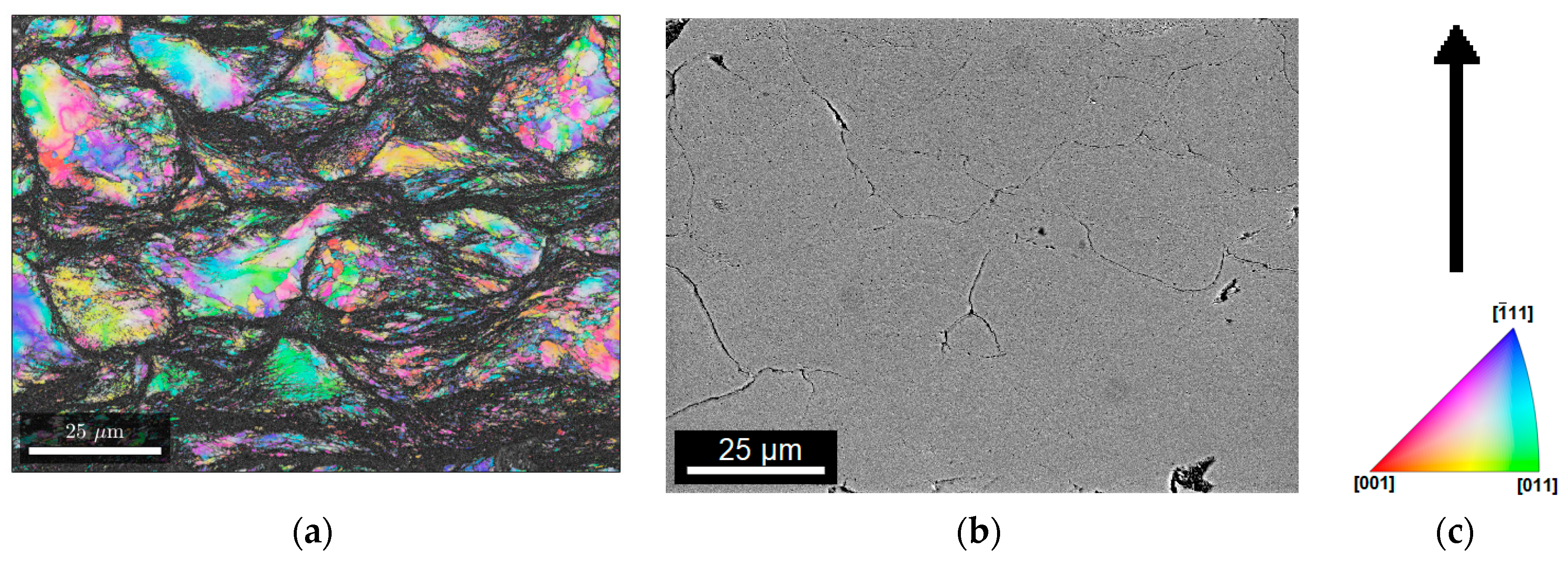 Coatings 10 00053 g006