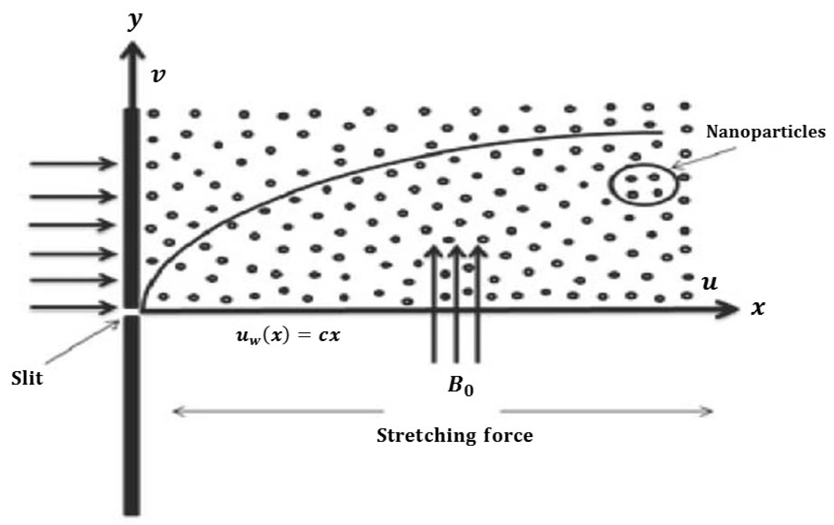 Coatings 10 00055 g001