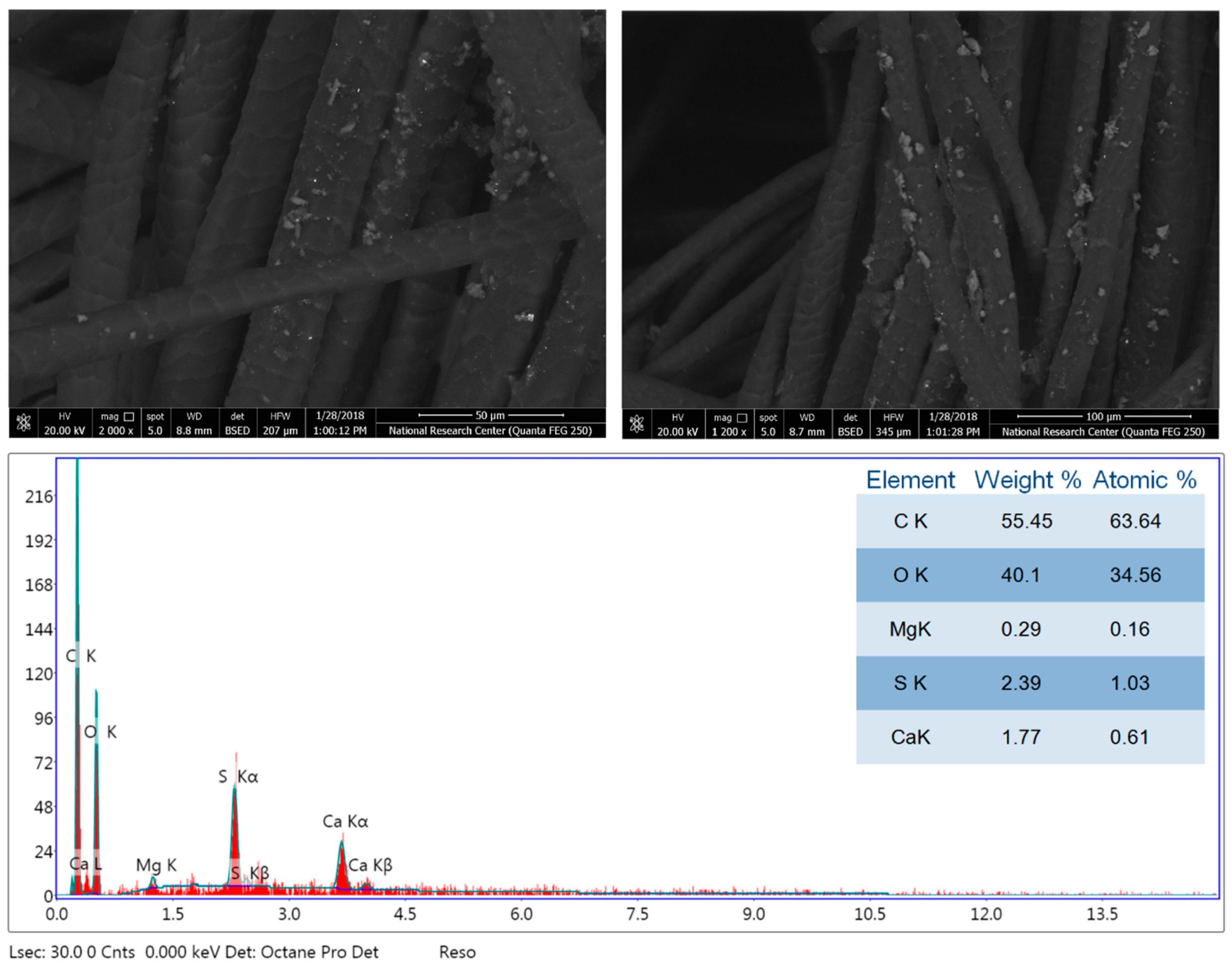 Coatings 10 00058 g004 Coatings 10 00058 g004
