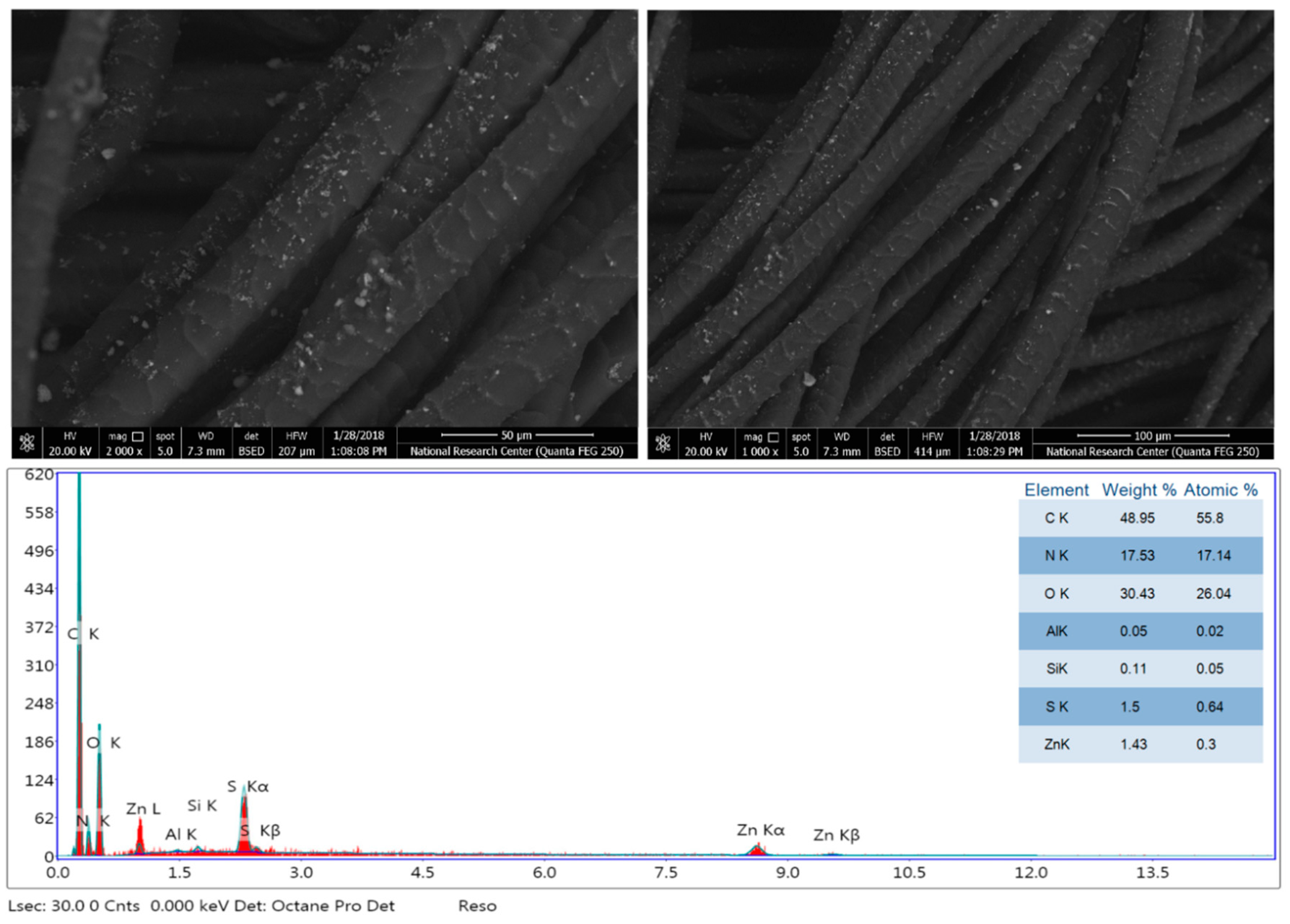 Coatings 10 00058 g005 Coatings 10 00058 g005