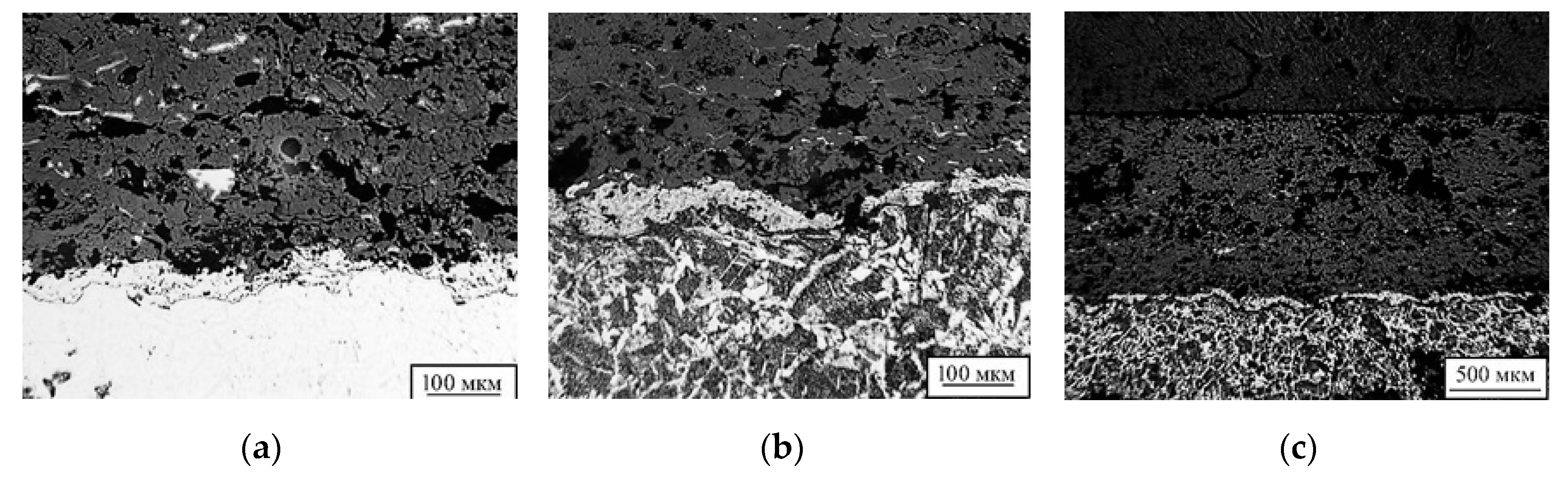 Coatings 10 00062 g009