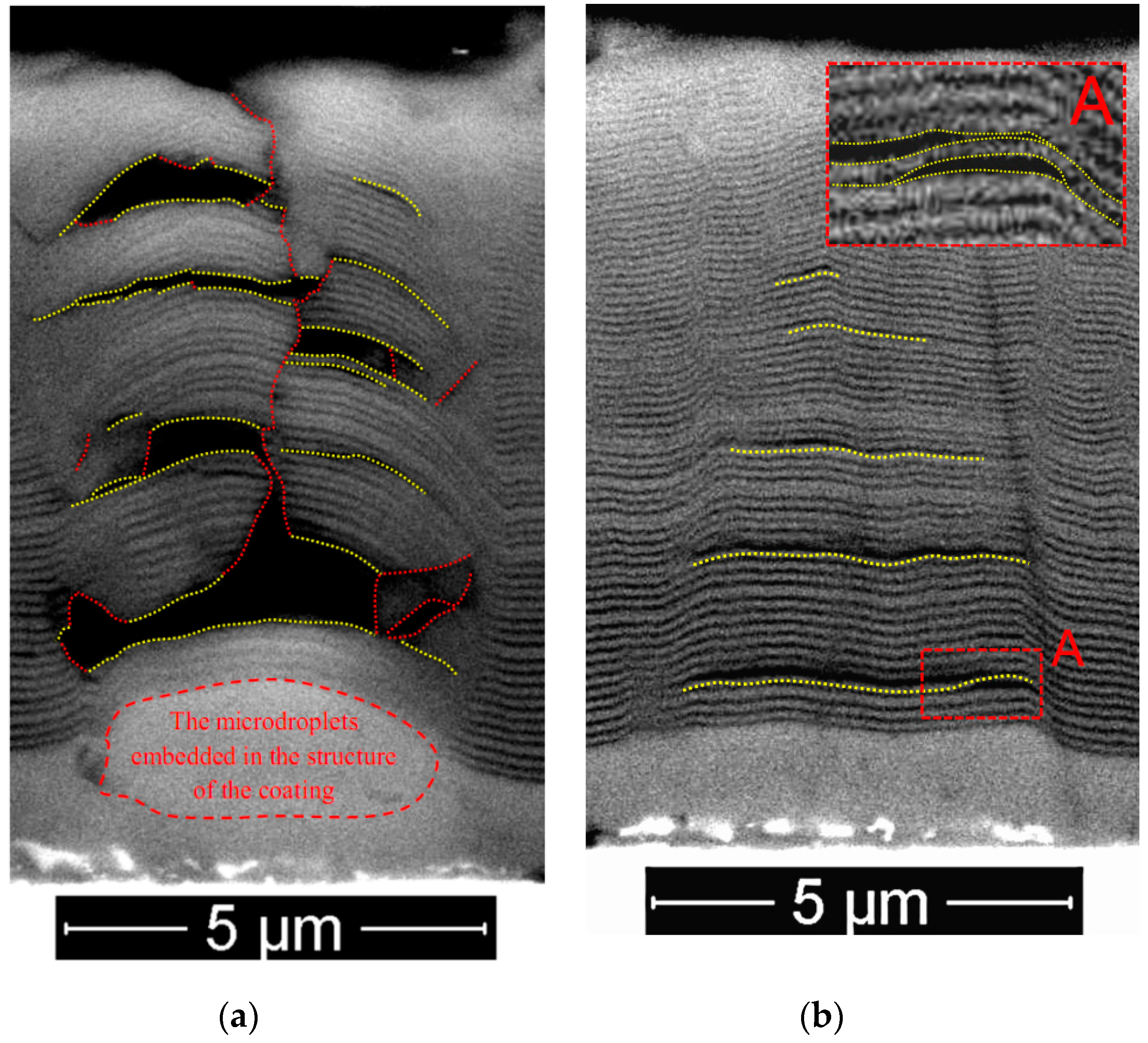 Coatings 10 00063 g006 Coatings 10 00063 g006