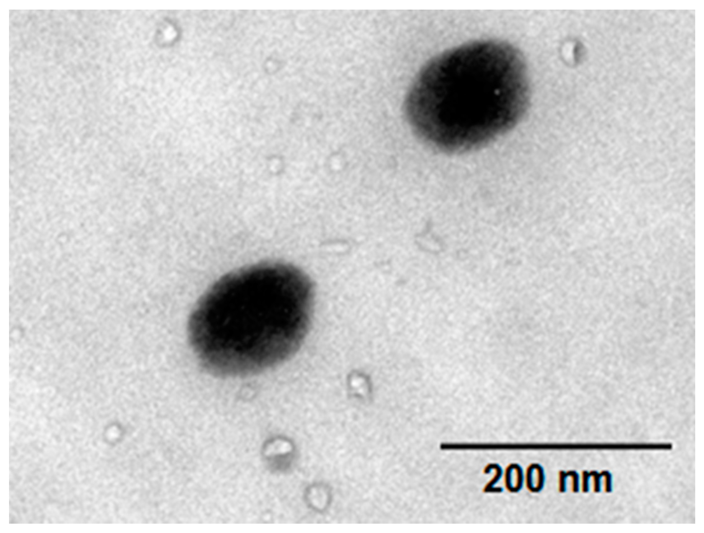 Coatings 10 00065 g003