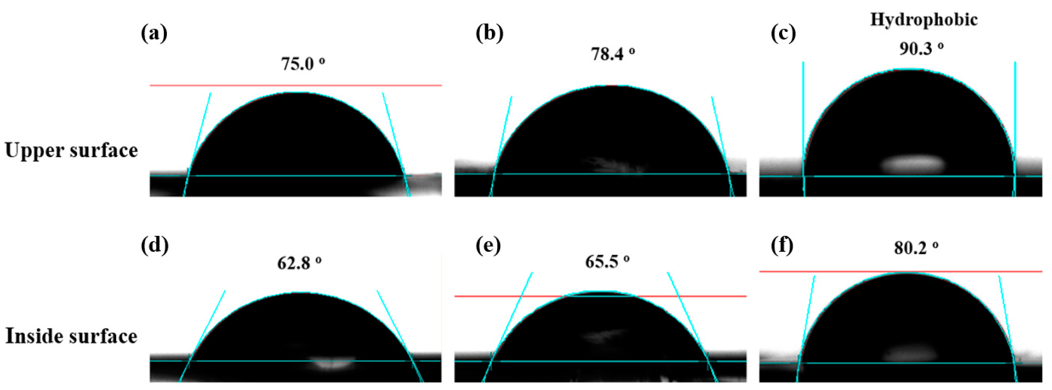 Coatings 10 00065 g006
