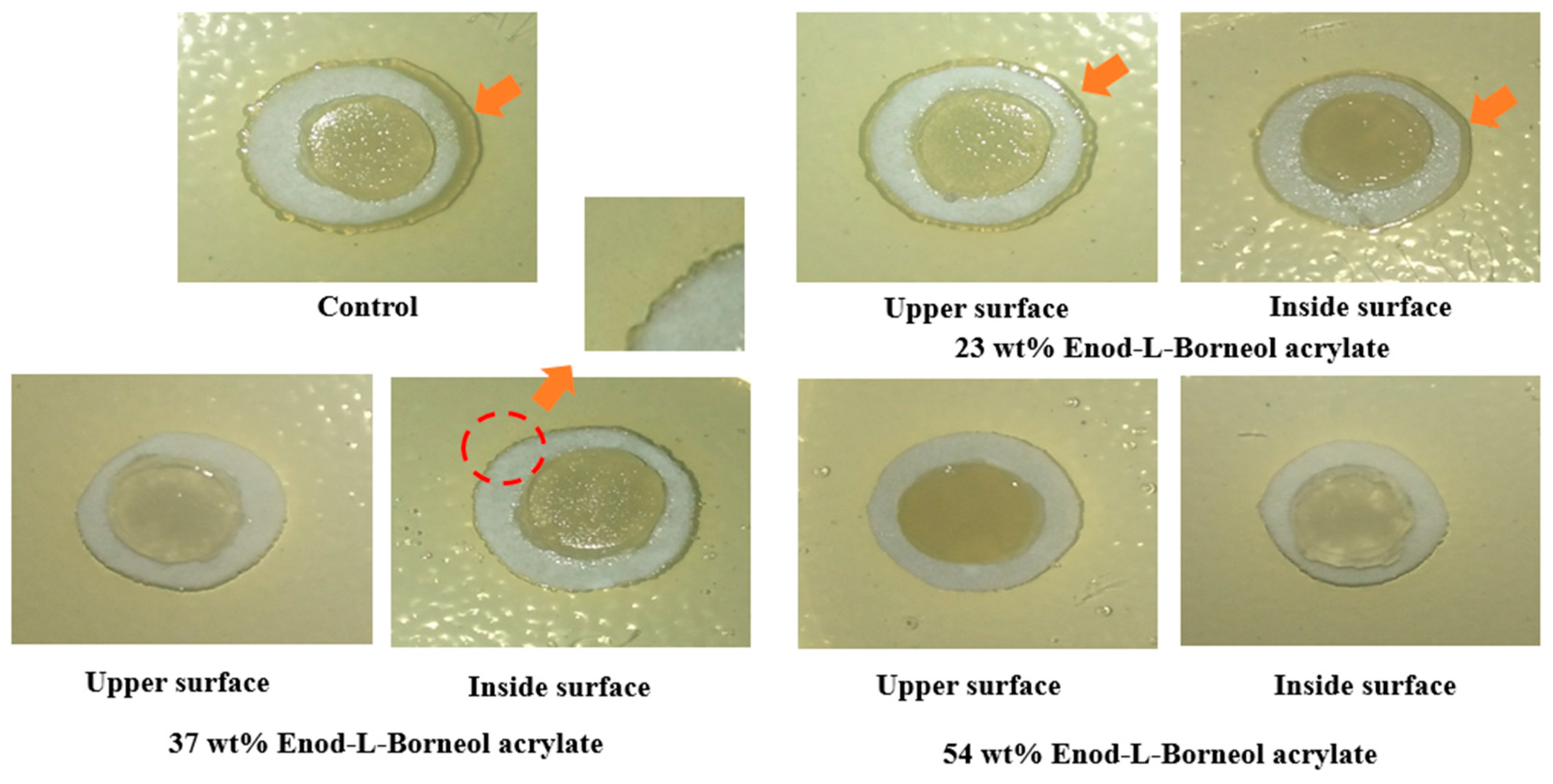 Coatings 10 00065 g008