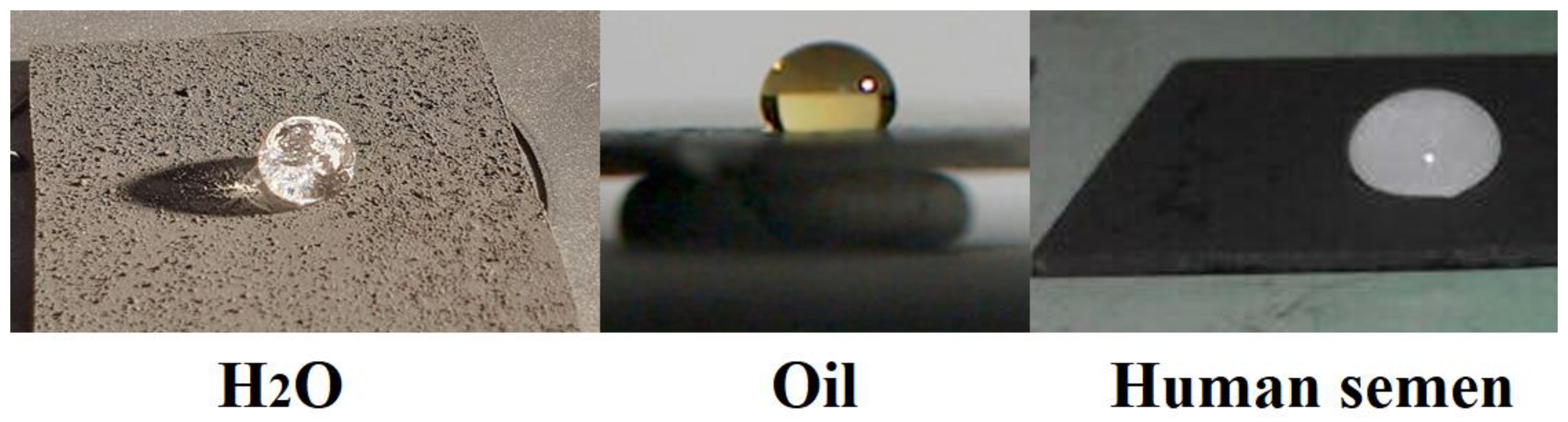 Coatings 10 00066 g002 Coatings 10 00066 g002