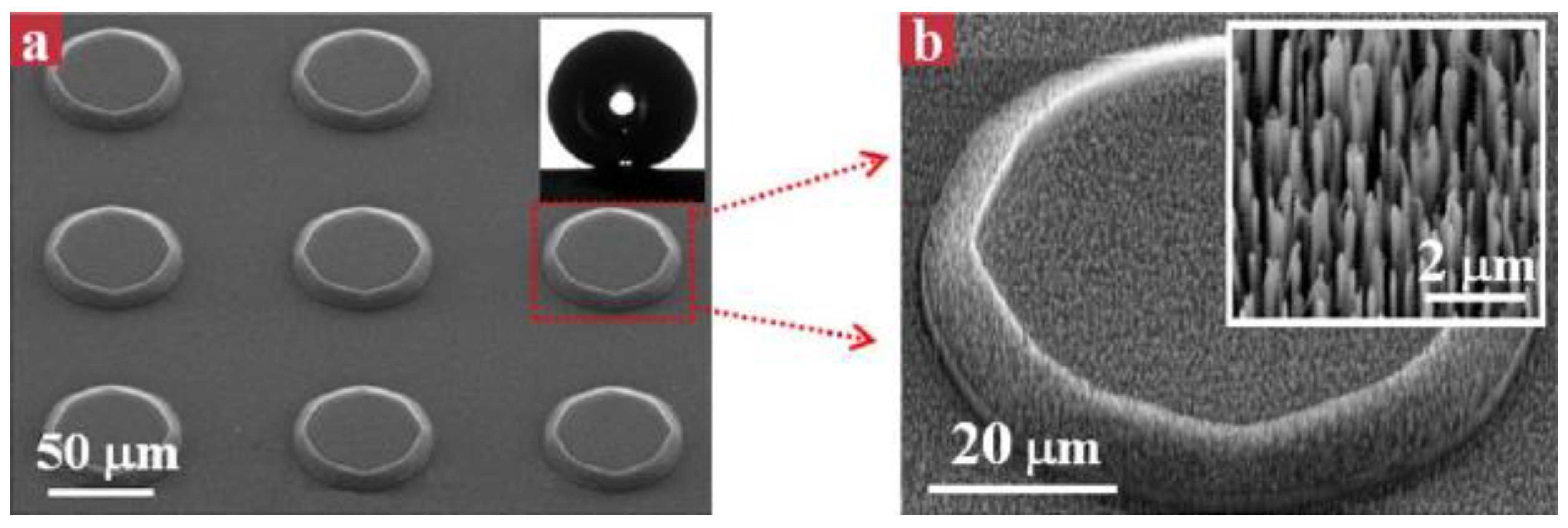 Coatings 10 00066 g005 Coatings 10 00066 g005