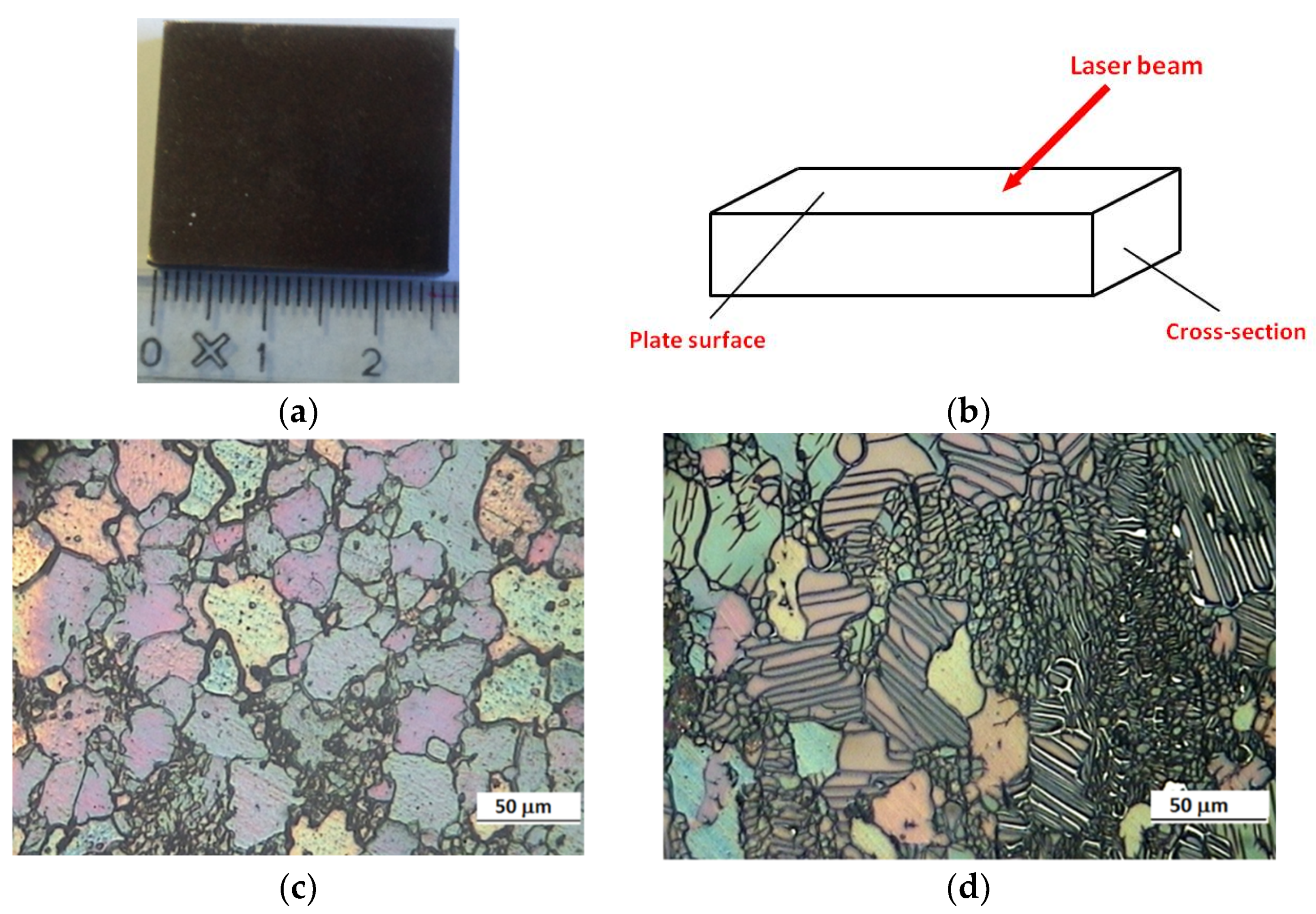 Coatings 10 00067 g001 Coatings 10 00067 g001