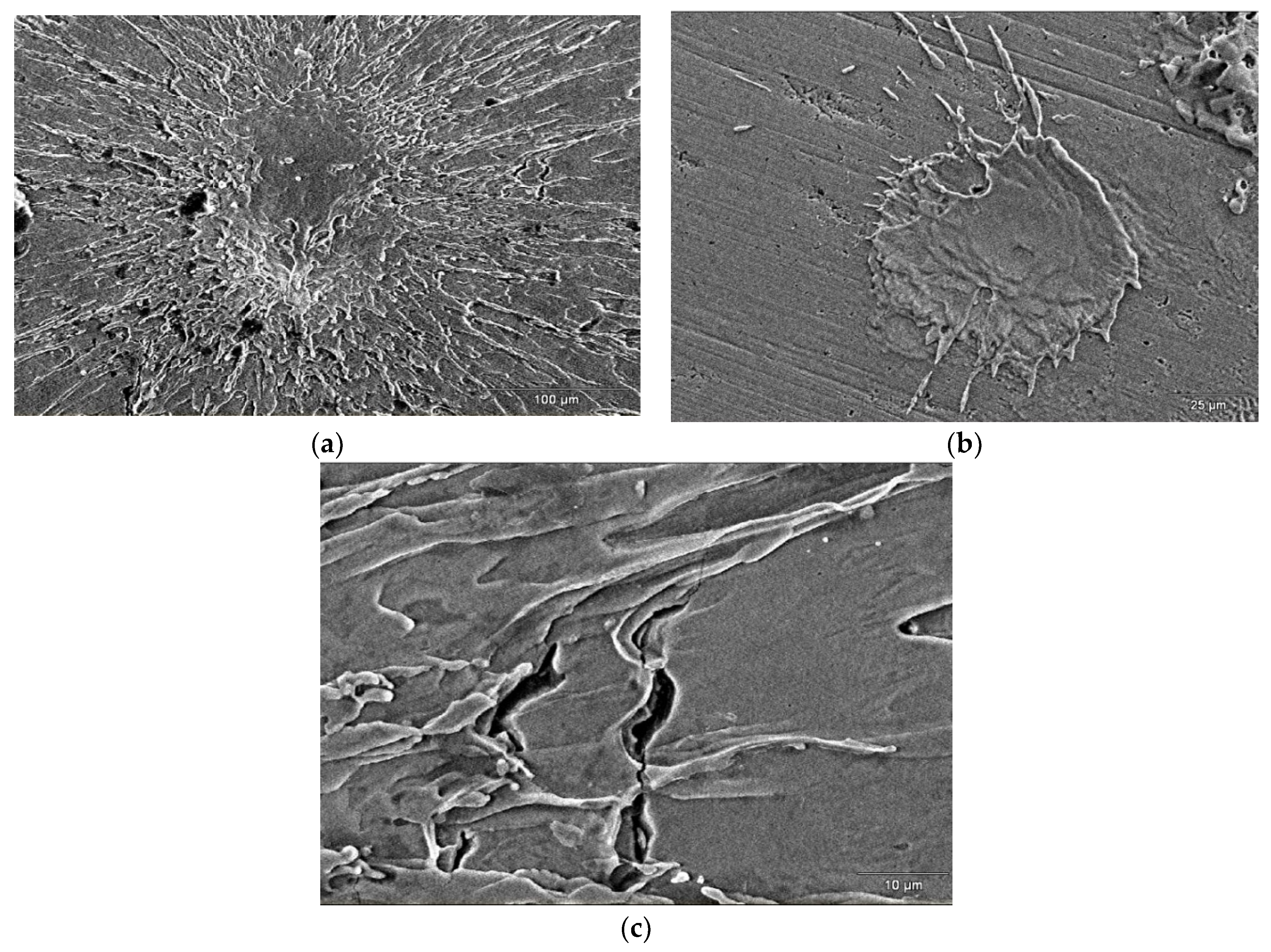 Coatings 10 00067 g005 Coatings 10 00067 g005