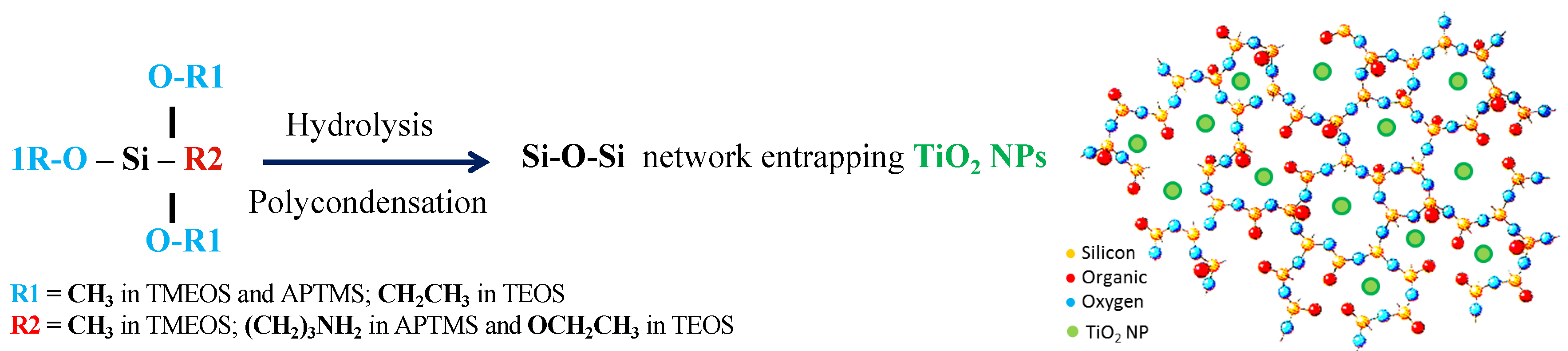 Coatings 10 00072 g002 Coatings 10 00072 g002