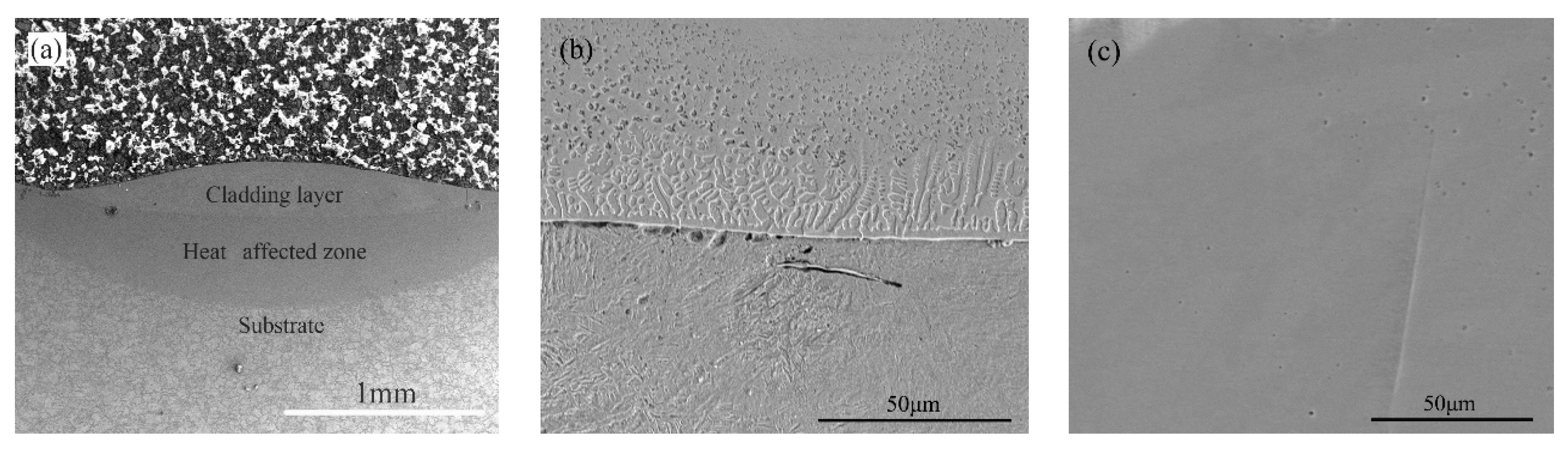 Coatings 10 00073 g002