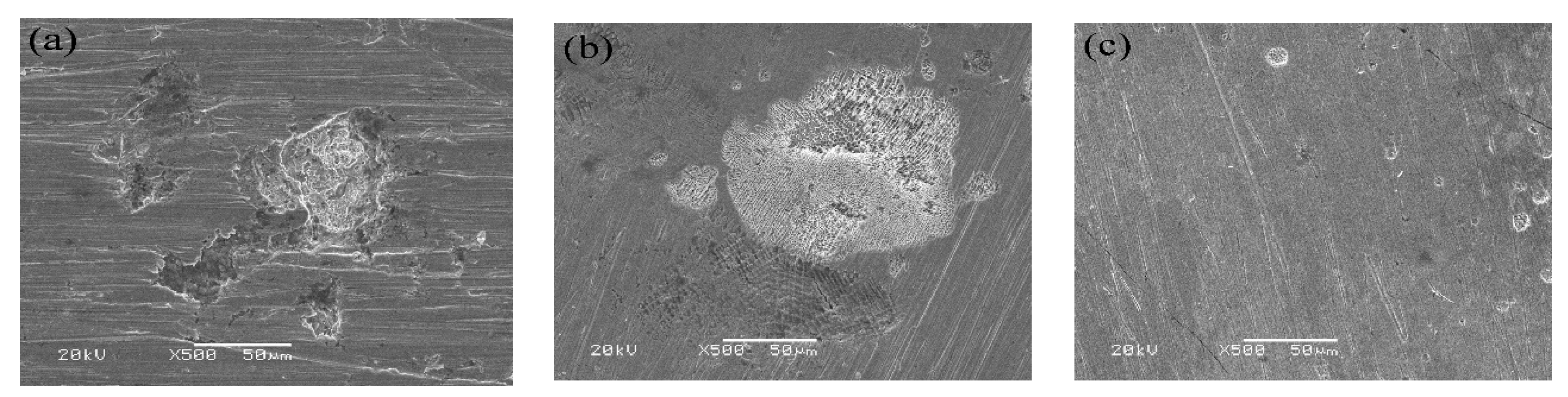 Coatings 10 00073 g006