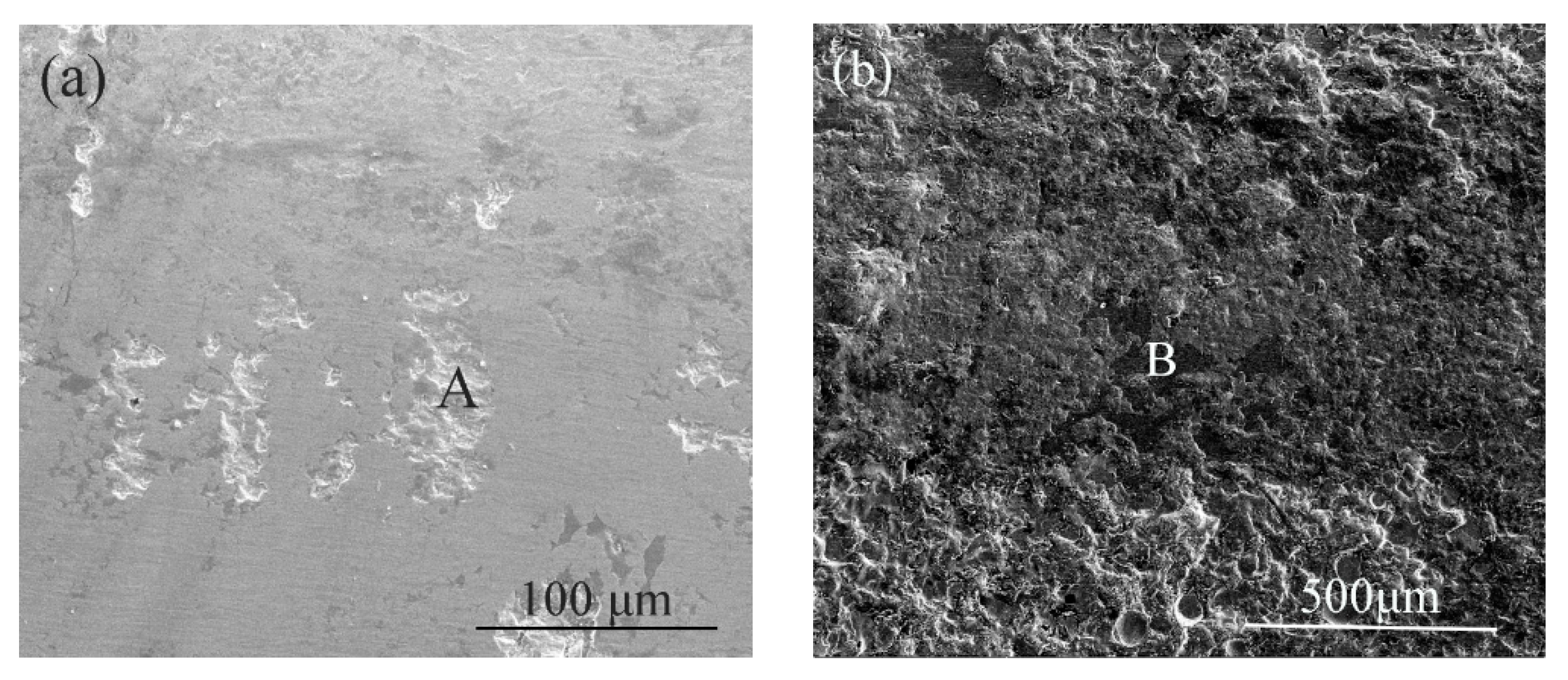 Coatings 10 00073 g010