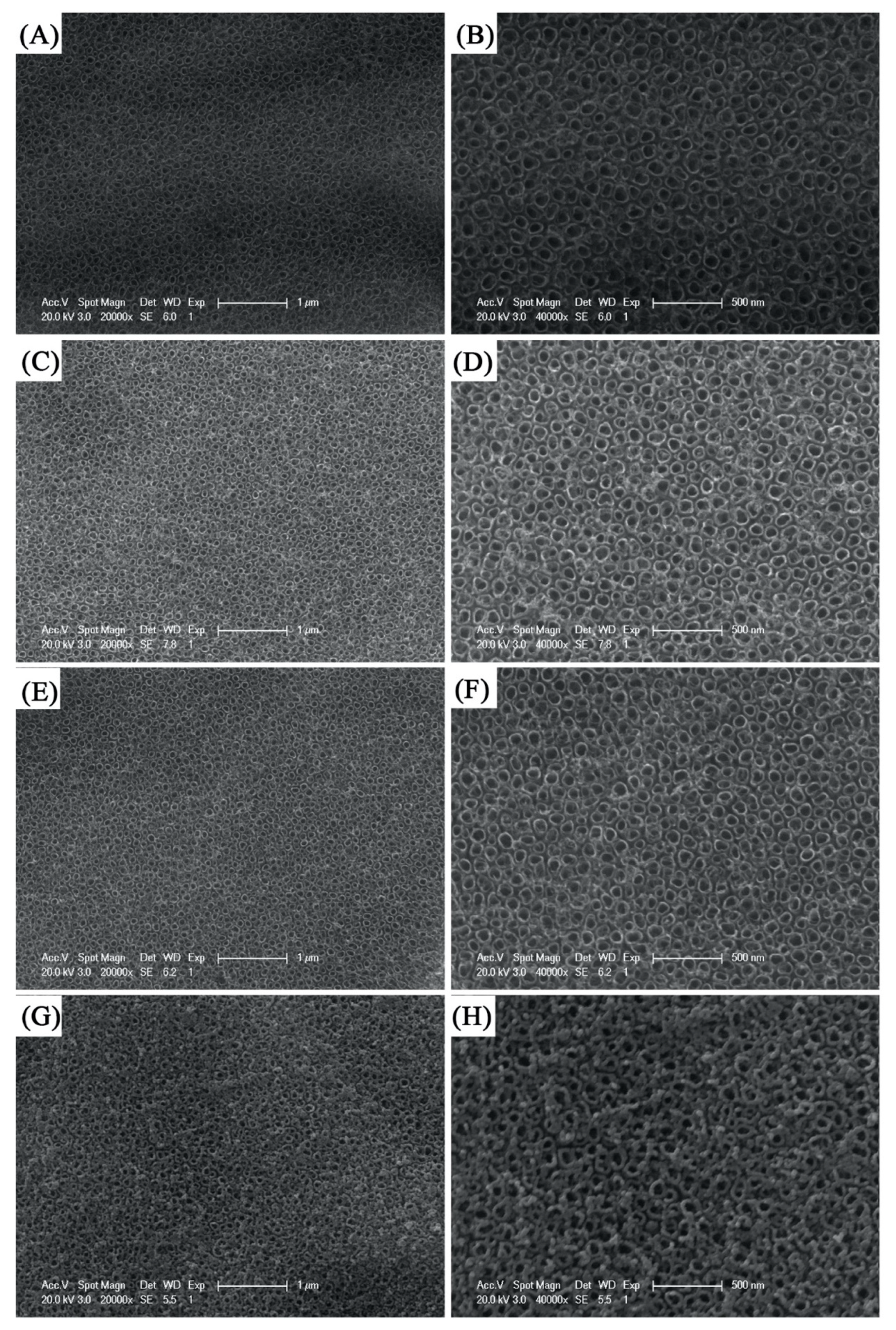 Coatings 10 00075 g002
