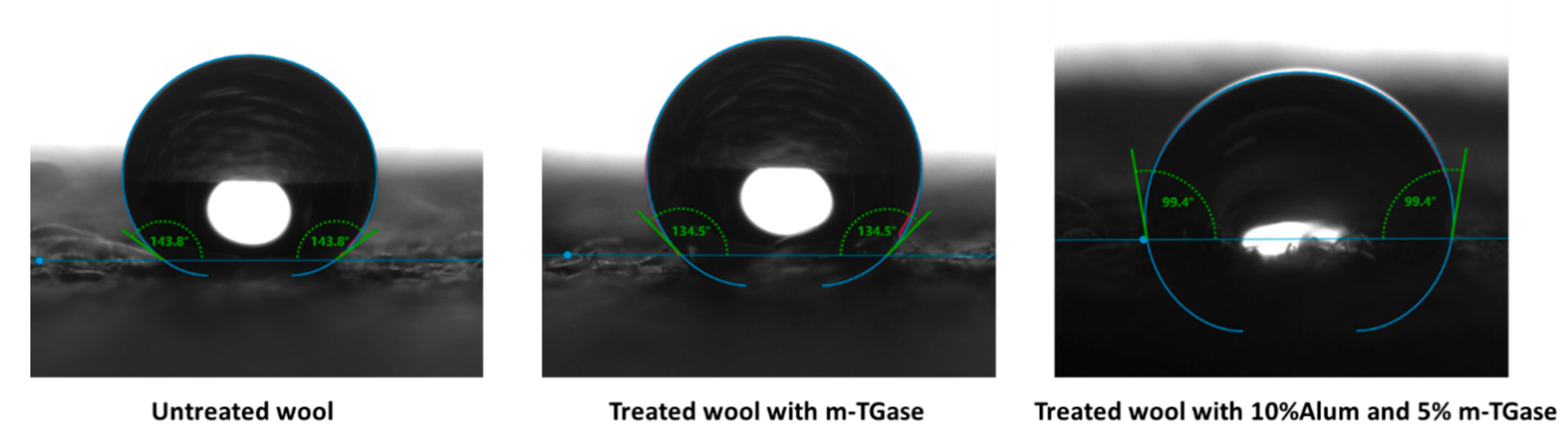 Coatings 10 00078 g004 Coatings 10 00078 g004