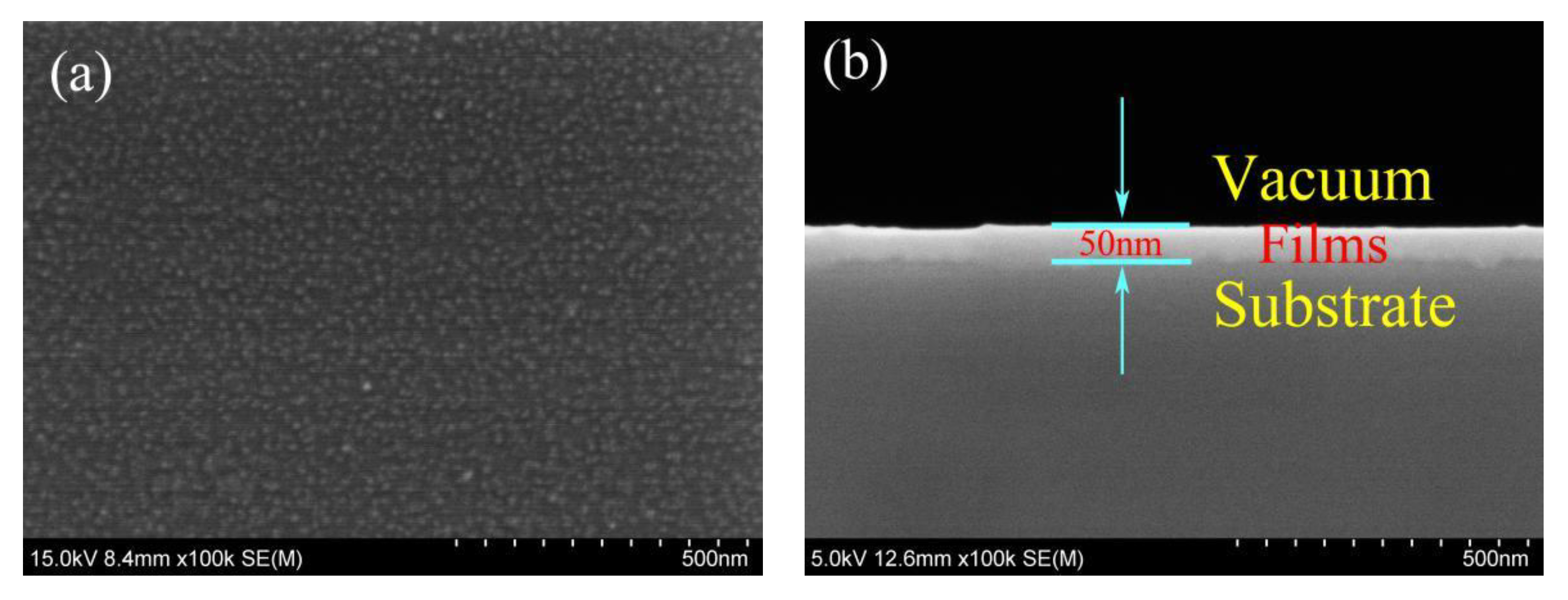 Coatings 10 00079 g002 Coatings 10 00079 g002