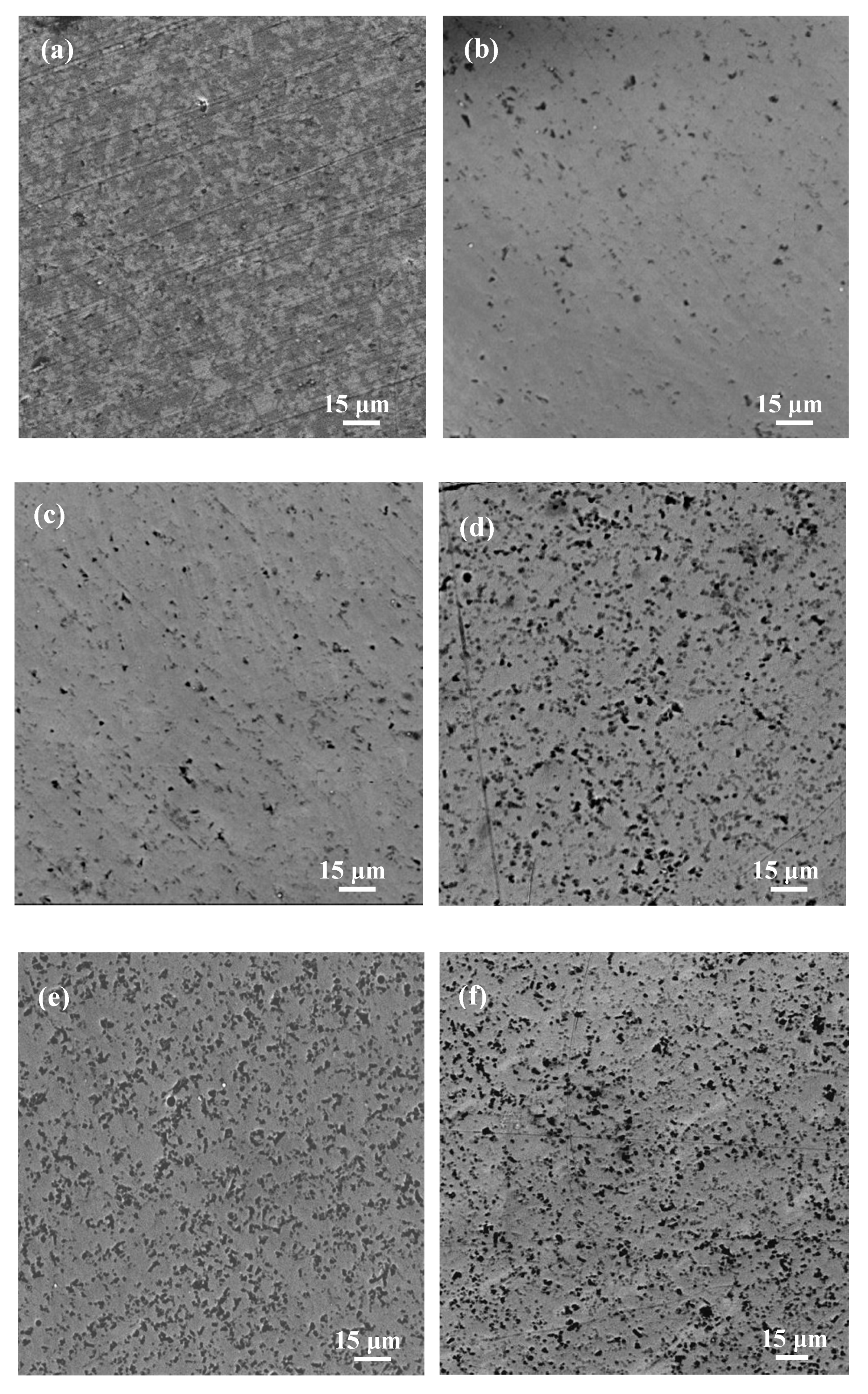 Coatings 10 00080 g002 Coatings 10 00080 g002