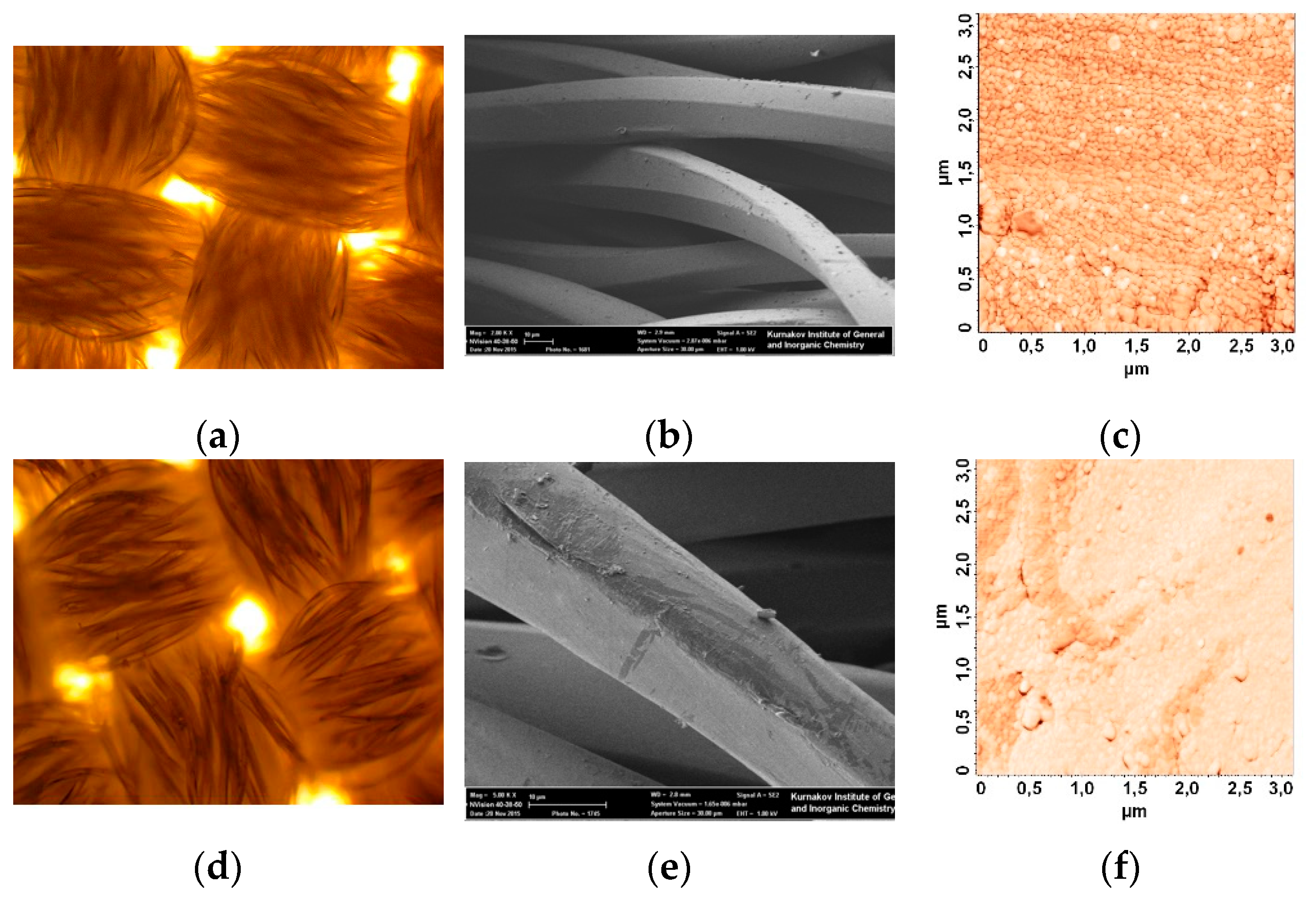 Coatings 10 00082 g001