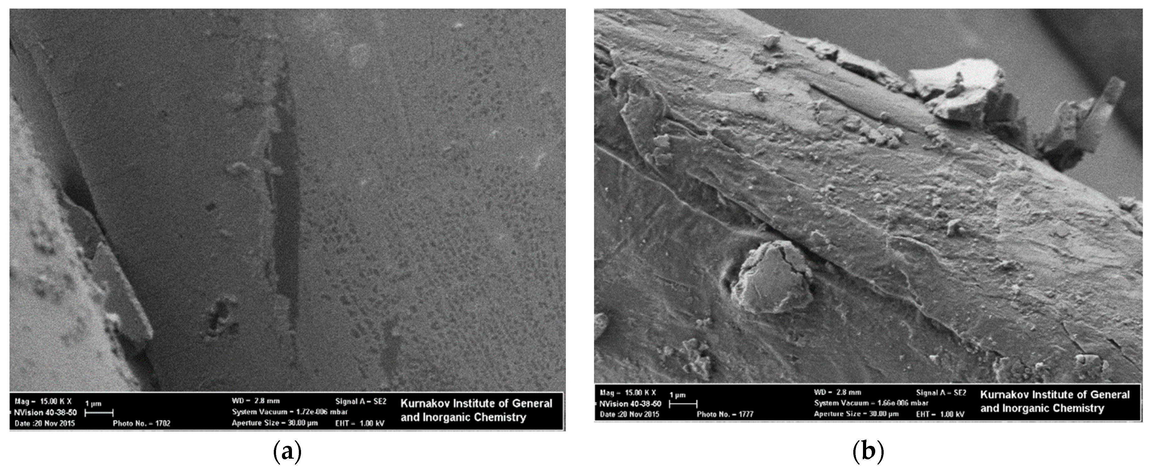 Coatings 10 00082 g007