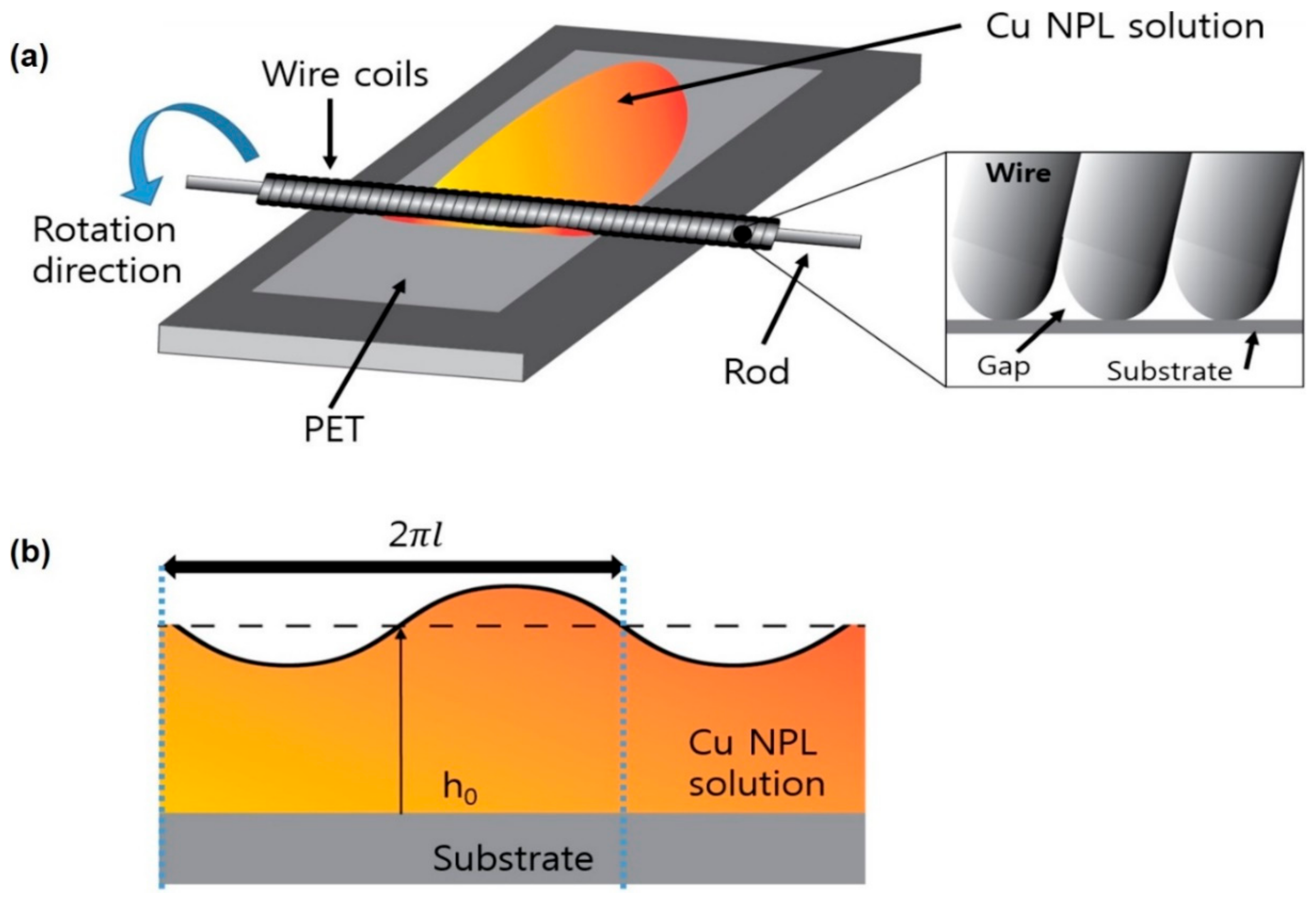 Coatings 10 00088 g001
